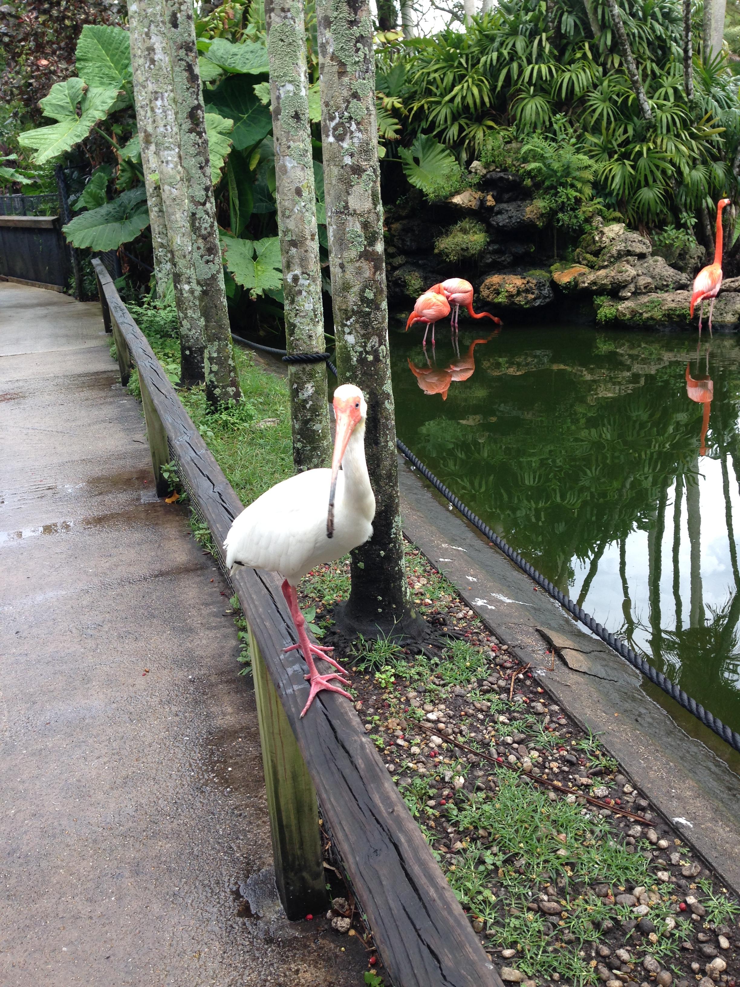 Bird sanctuary!
