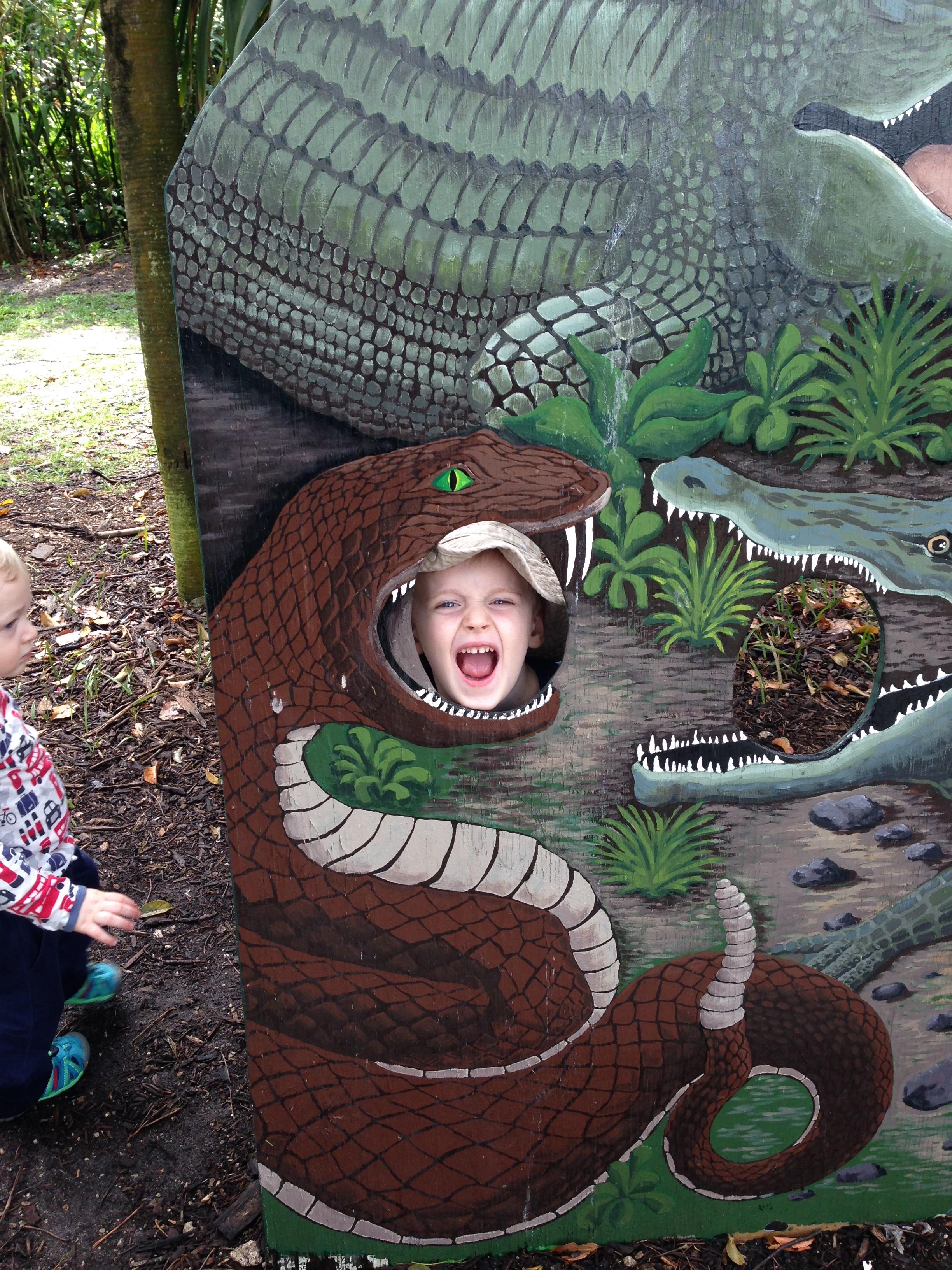 Scary reptiles!