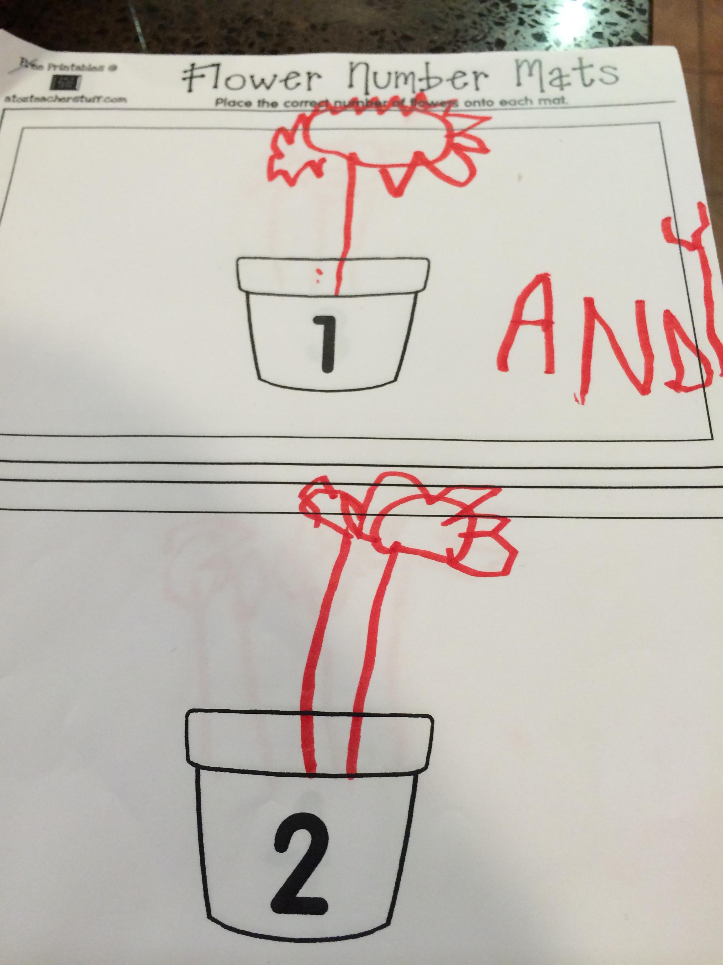 Flower pots
