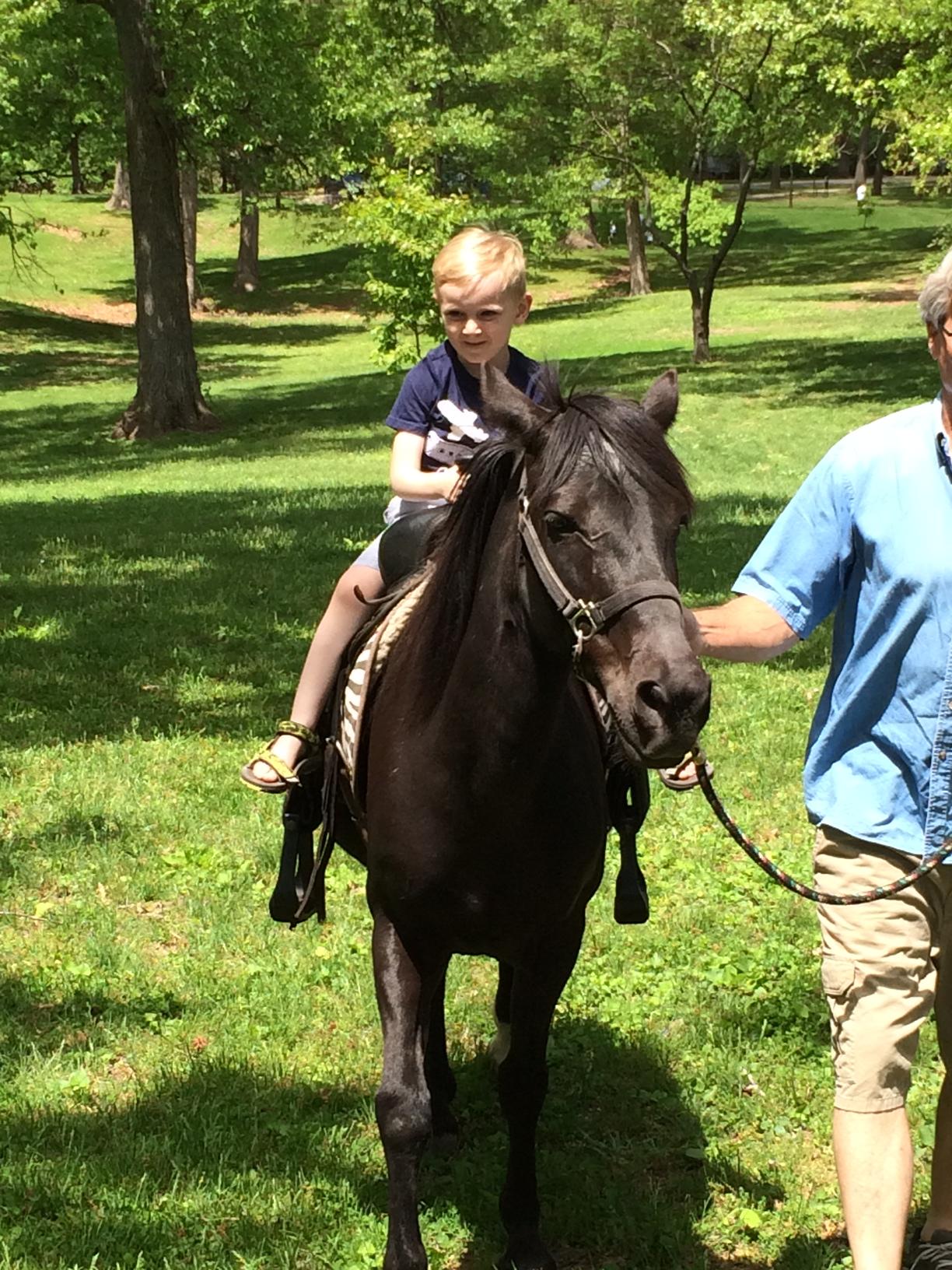 Wilson School Picnic