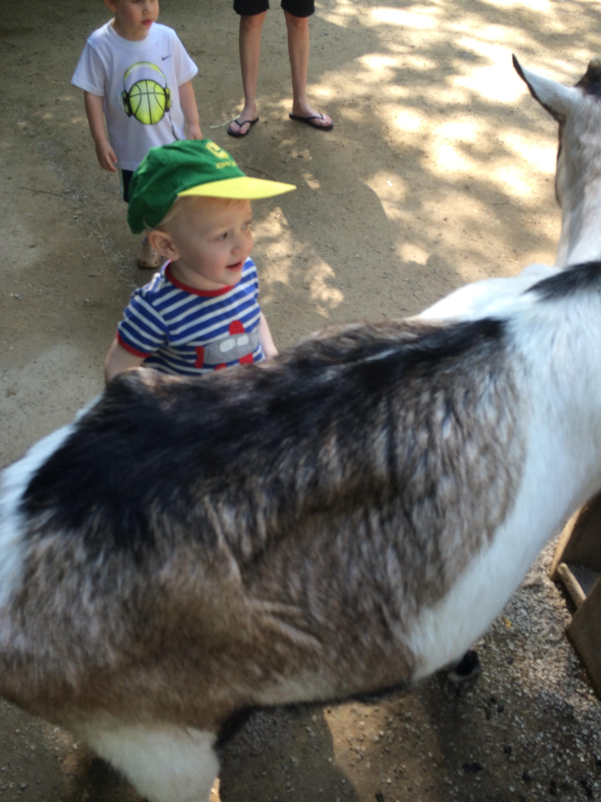 Children's zoo