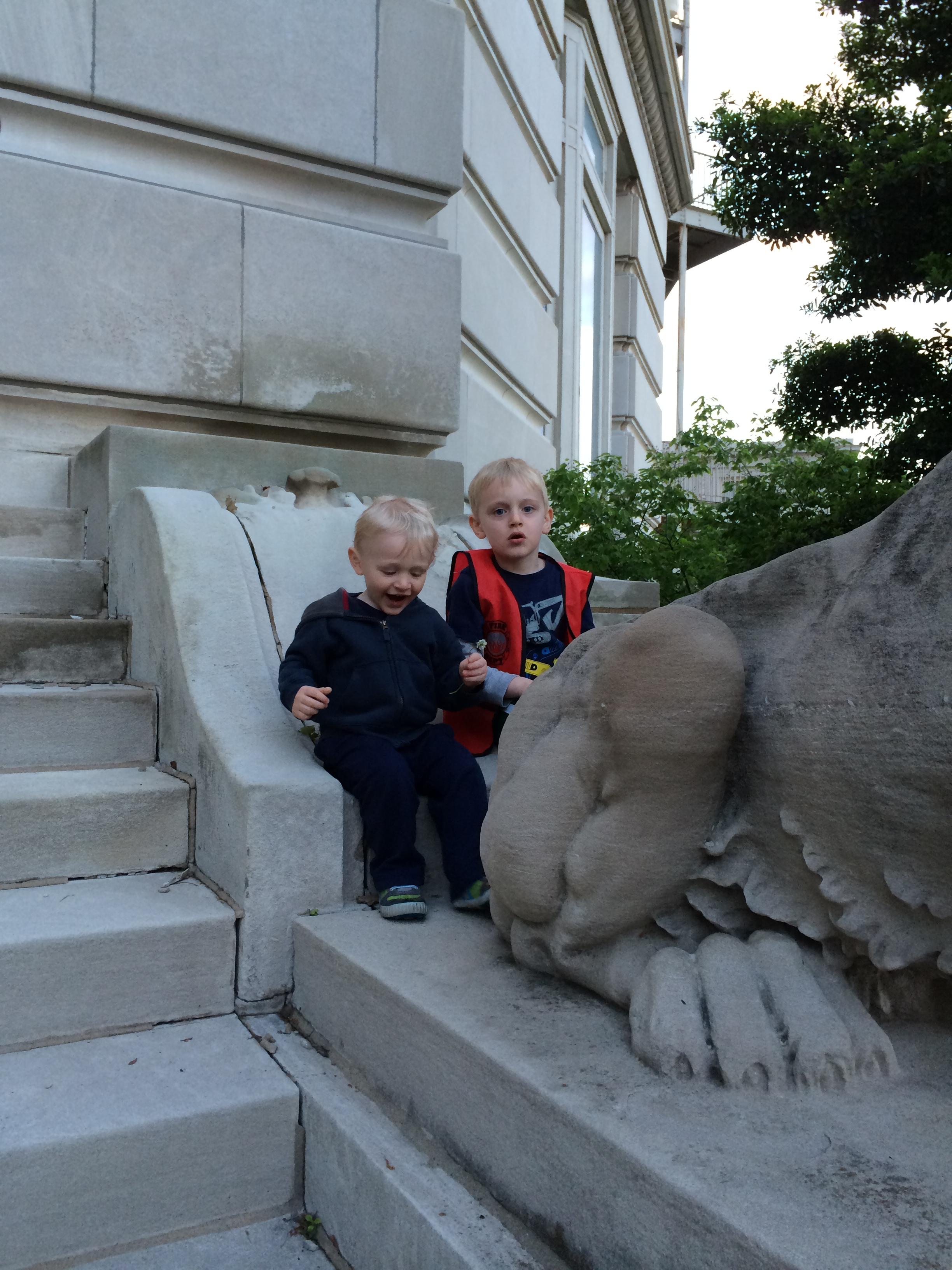 Lions