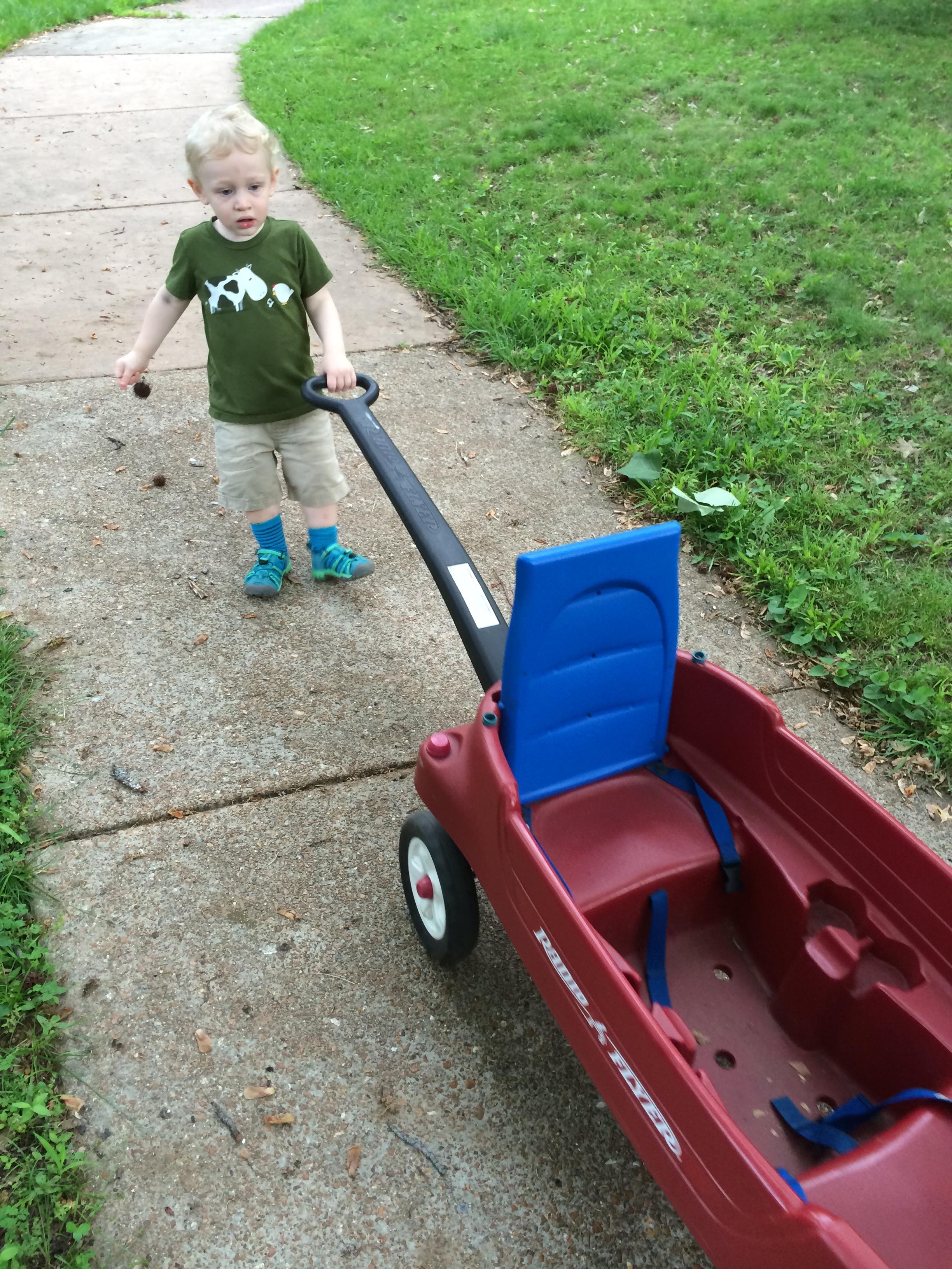 Charlie pulls wagon