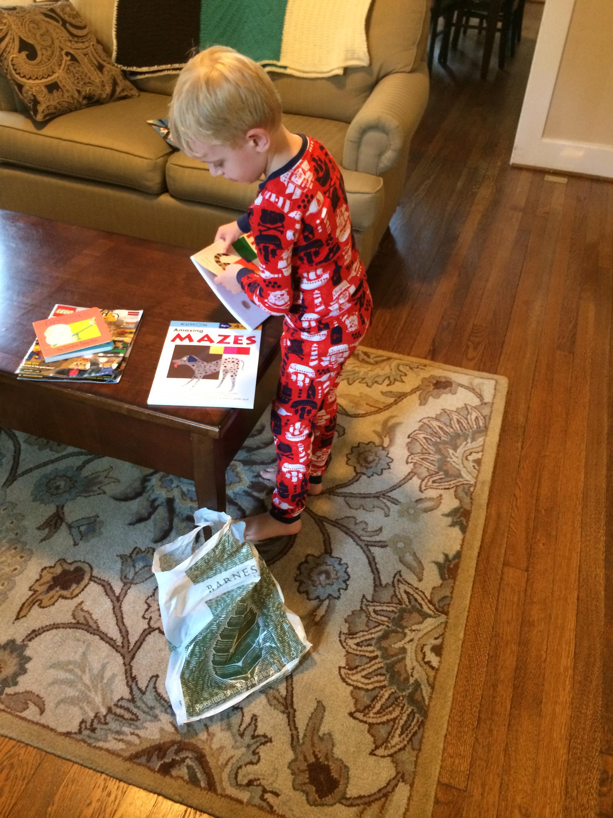 Maze books and lizard from Heidi