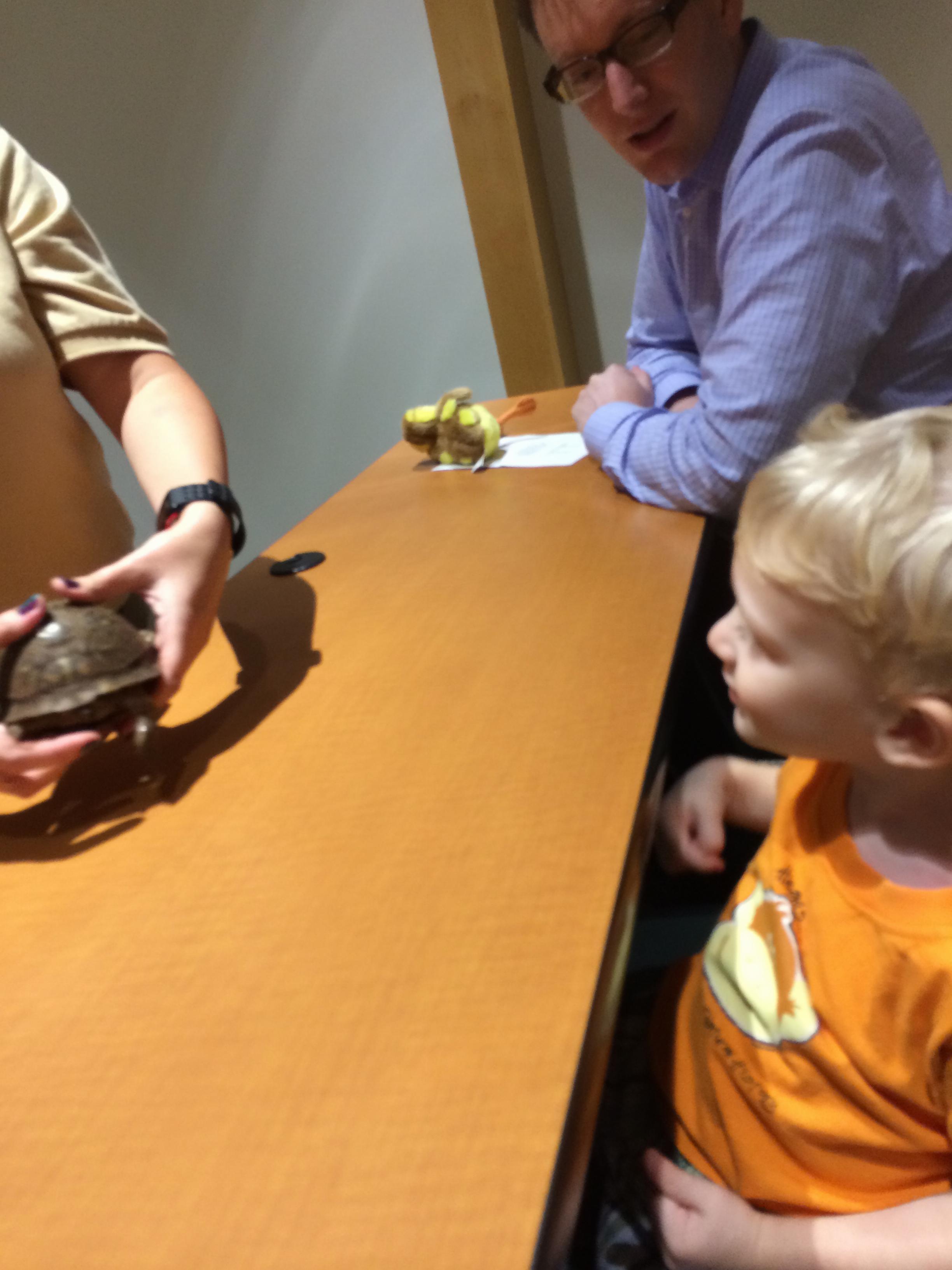 Wilson zoo night