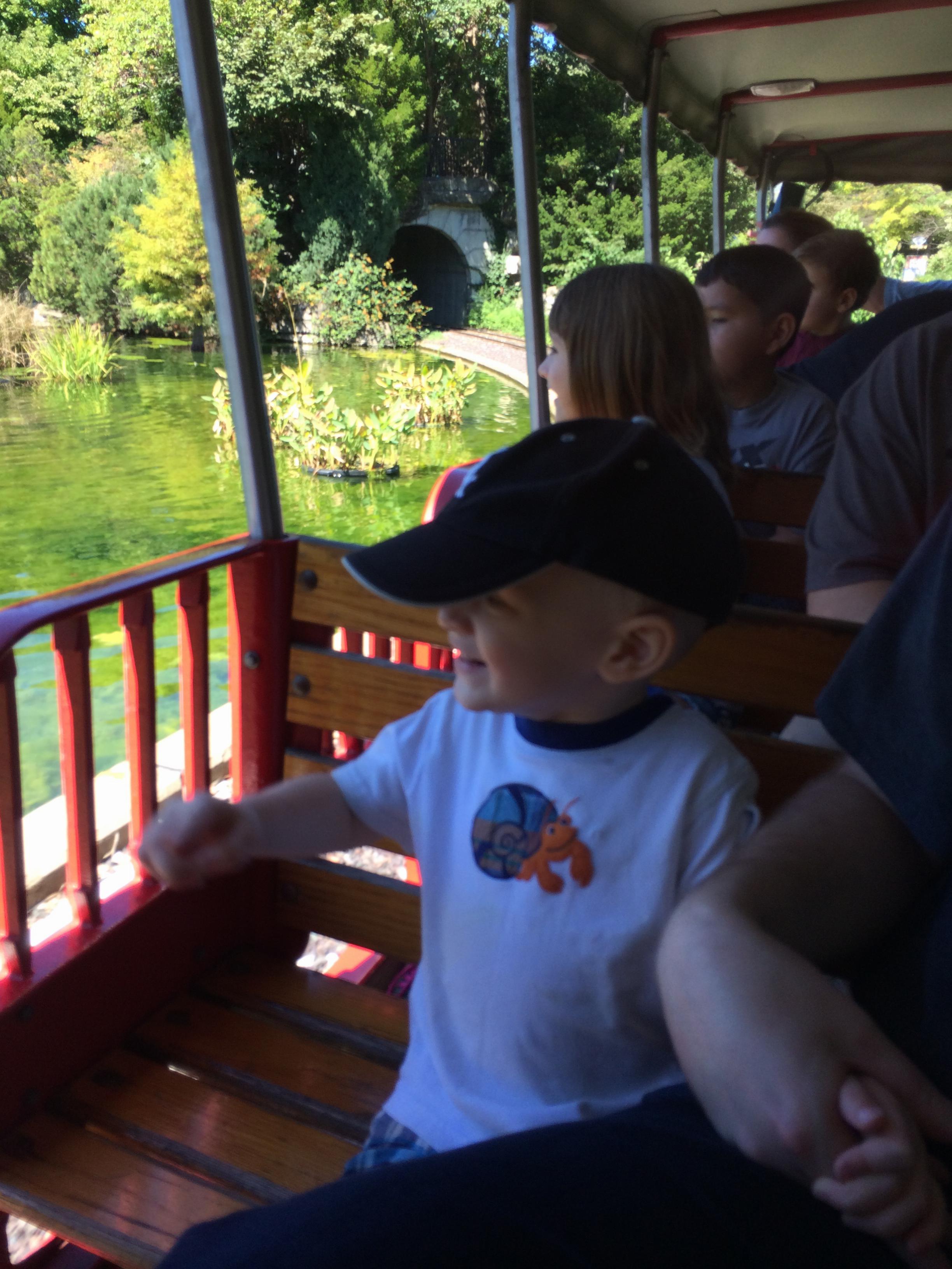 Zoo train