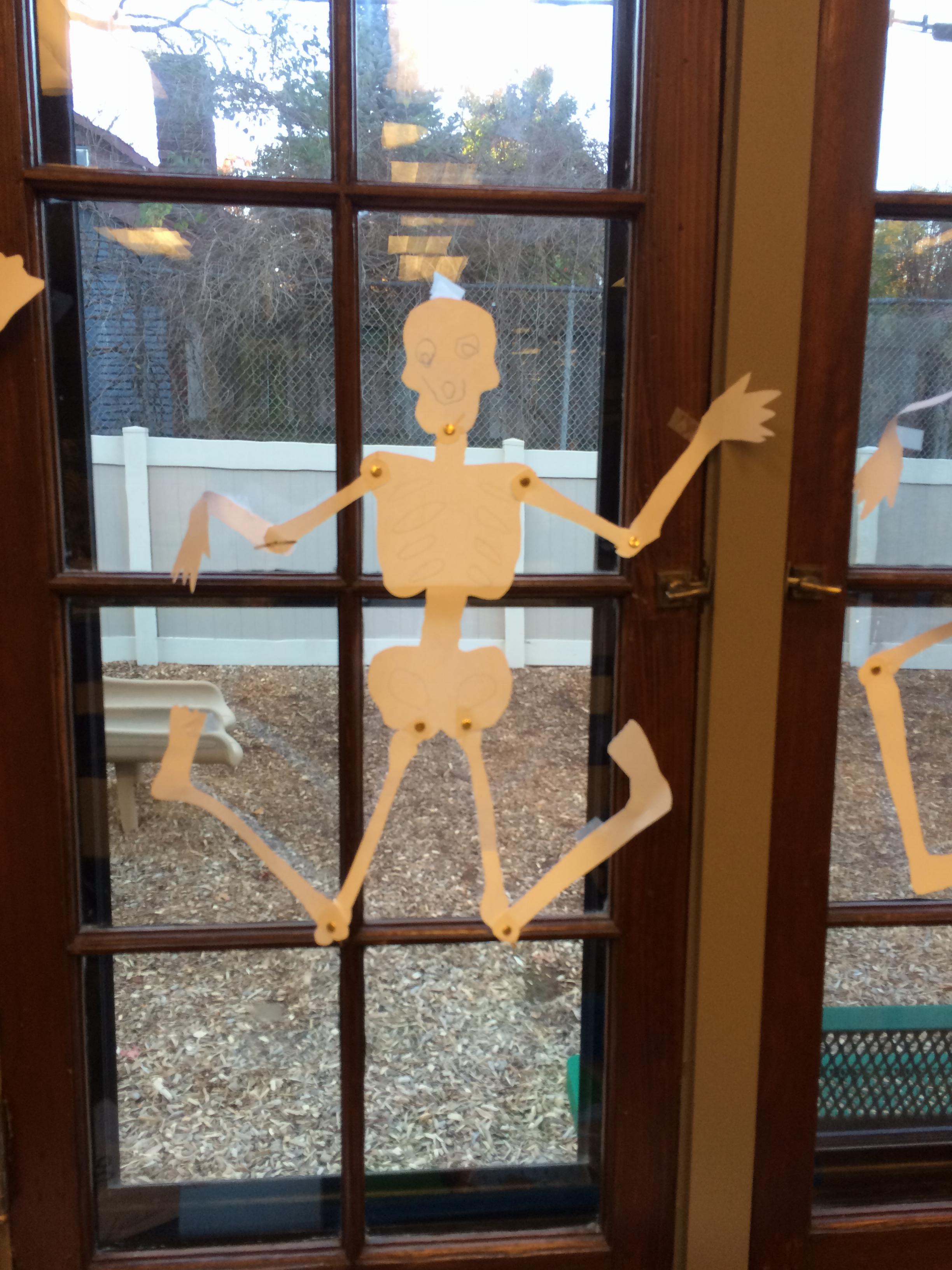 Andy's skeleton