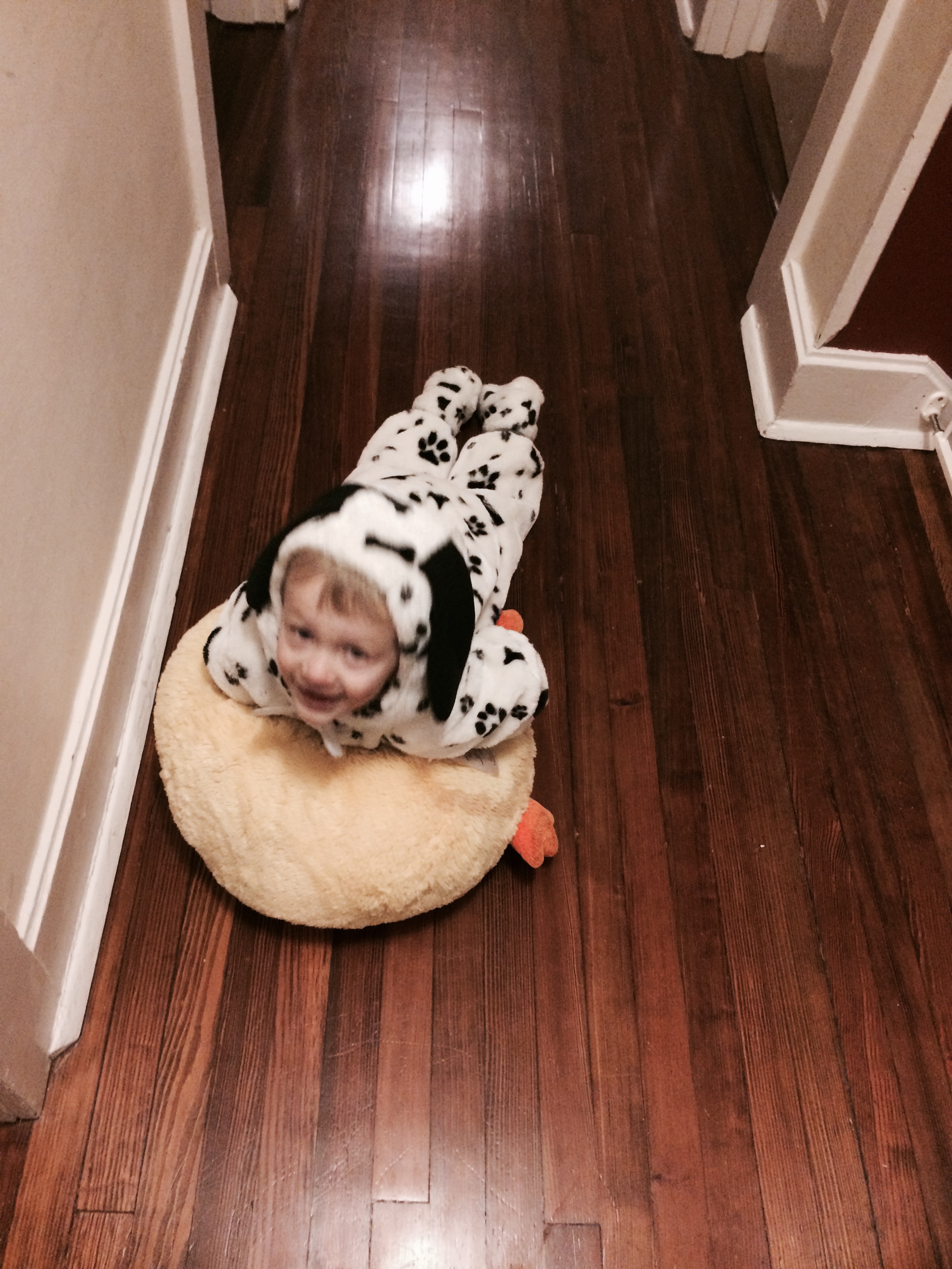 Soft dog on soft duck