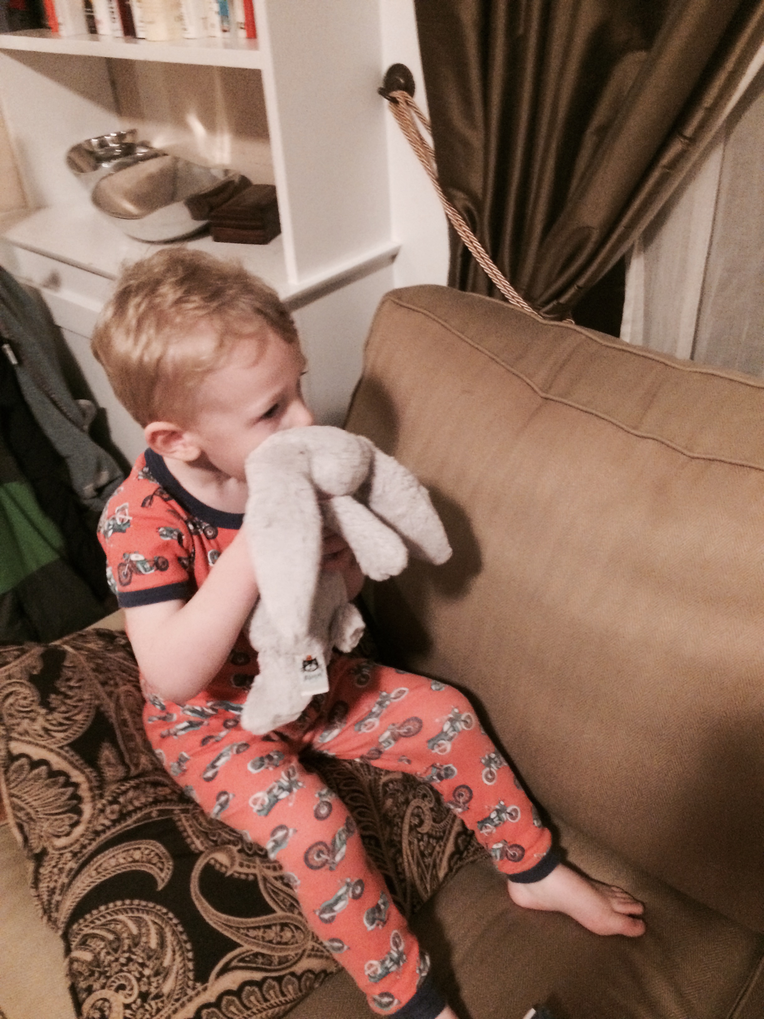 Bunny love