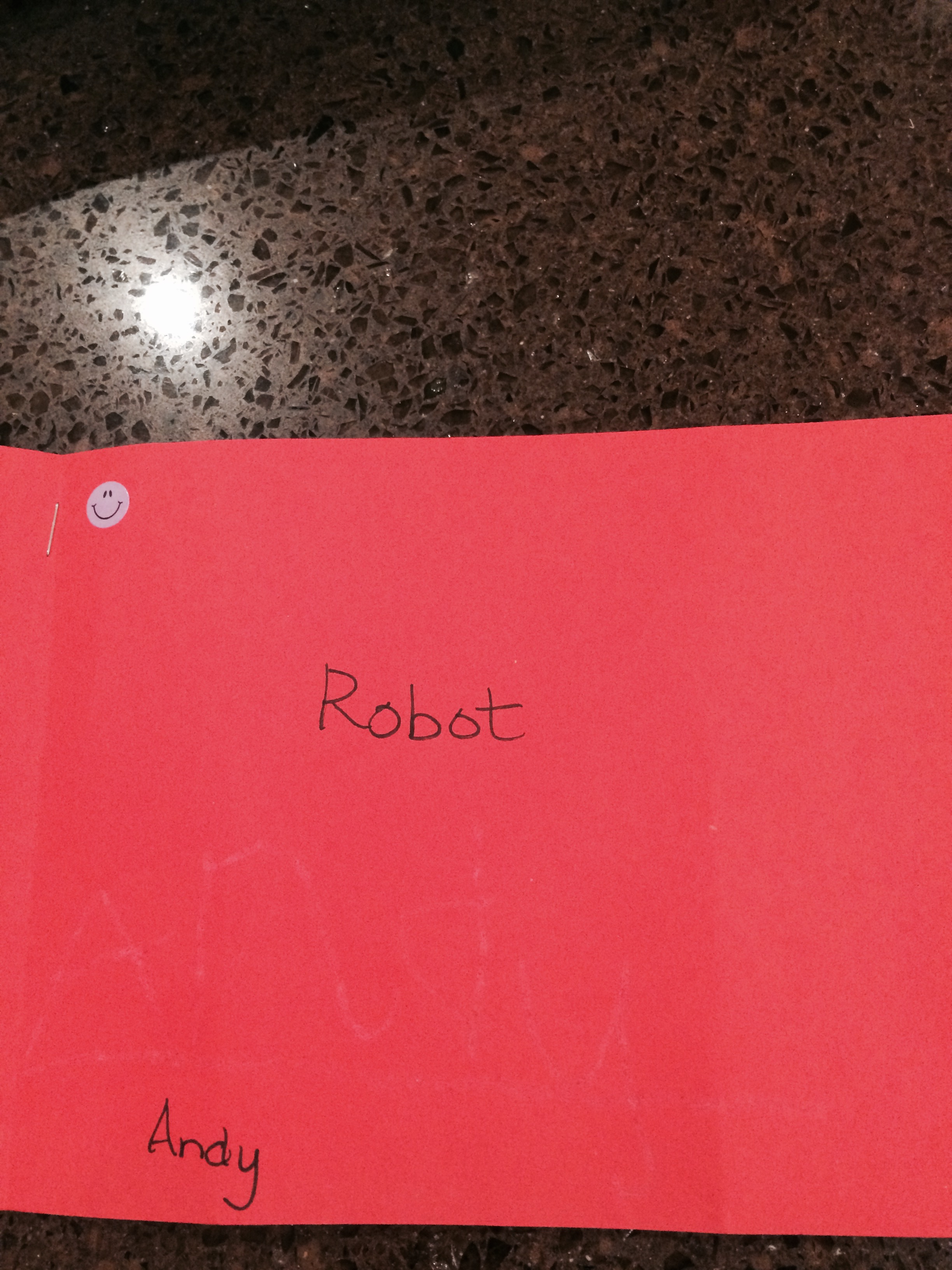 Robot