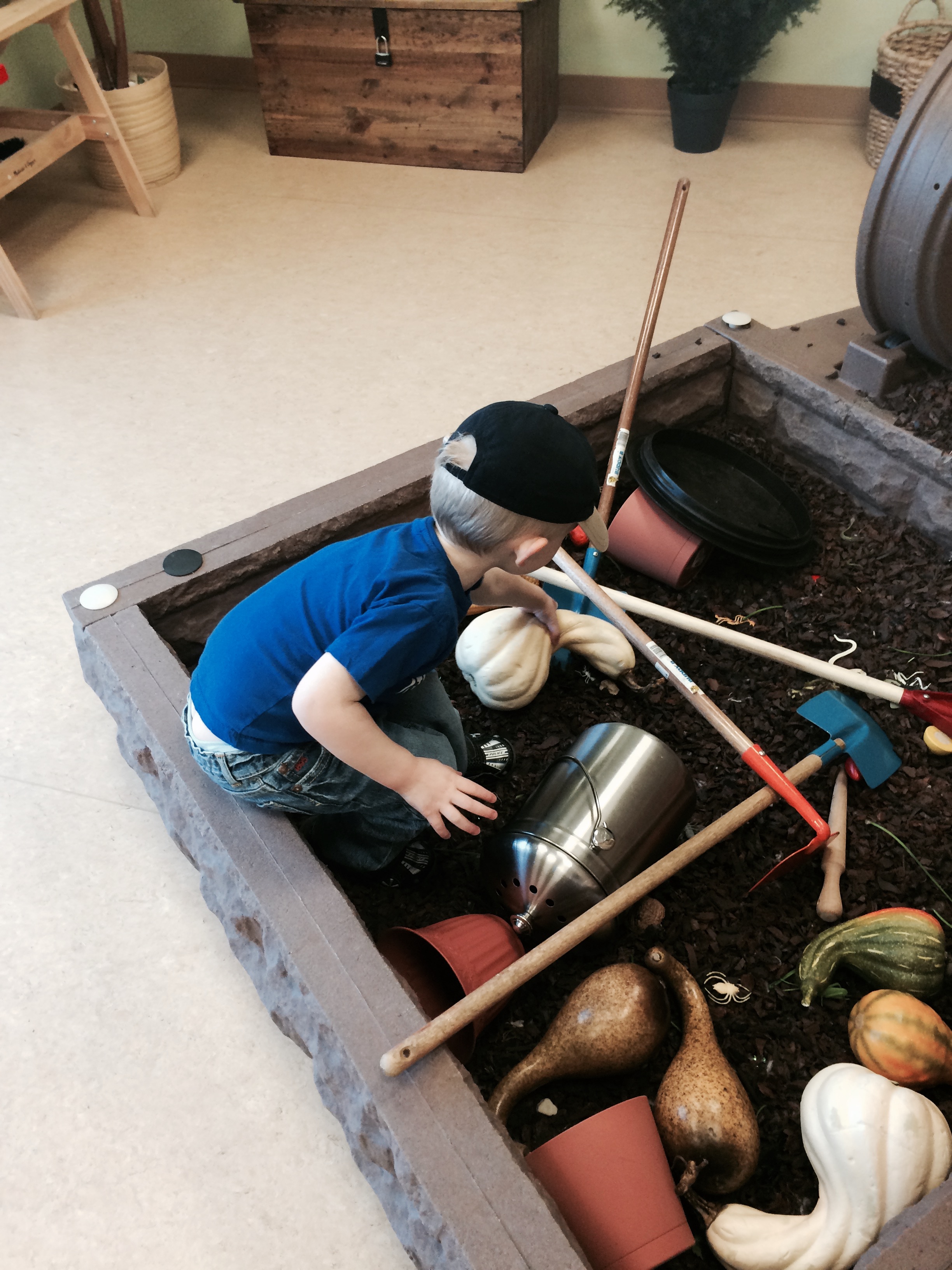 Composting at the zoo. Charlie wanted all of the plastic bugs out.