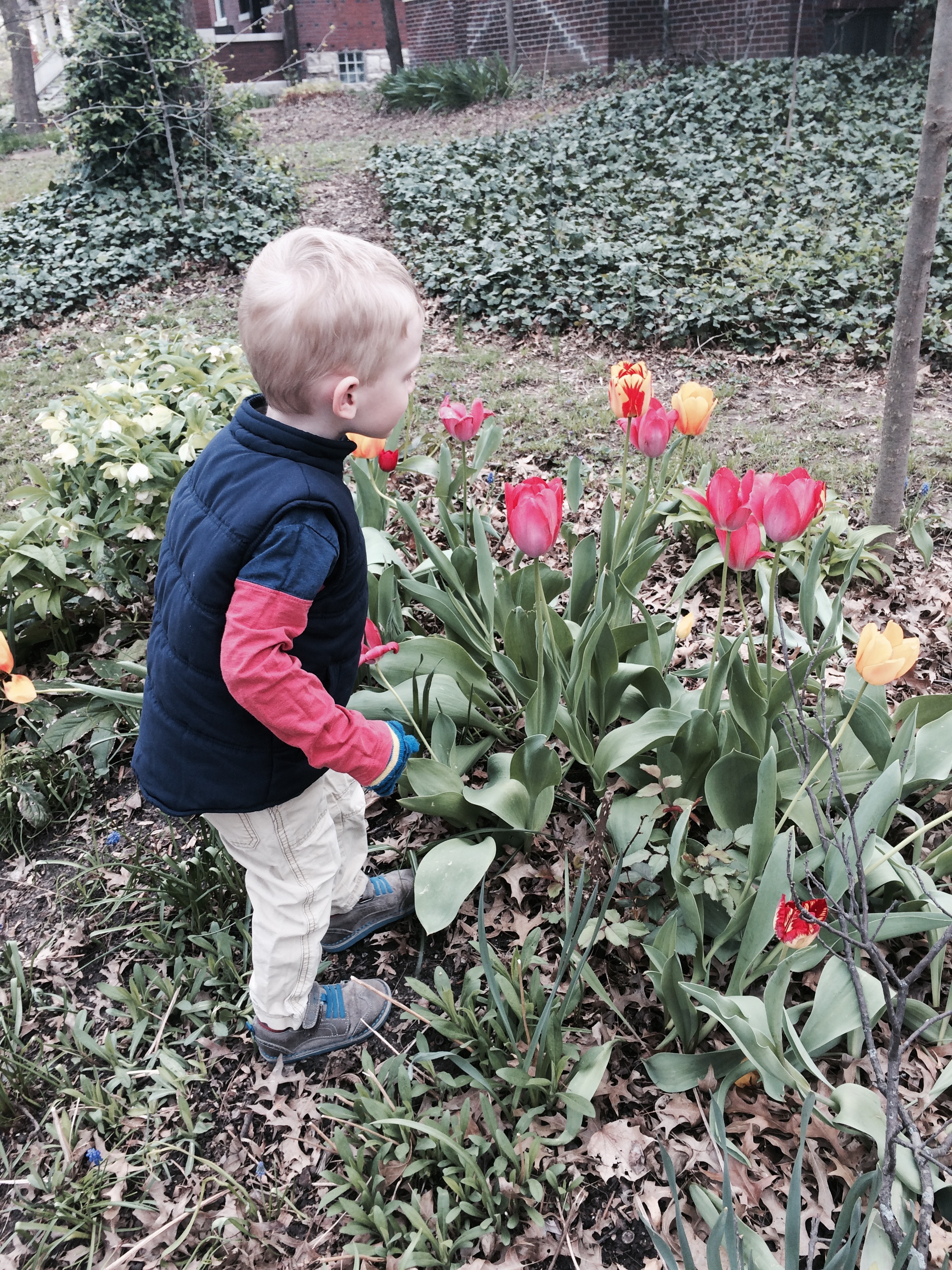 Charlie smelling the flowers
