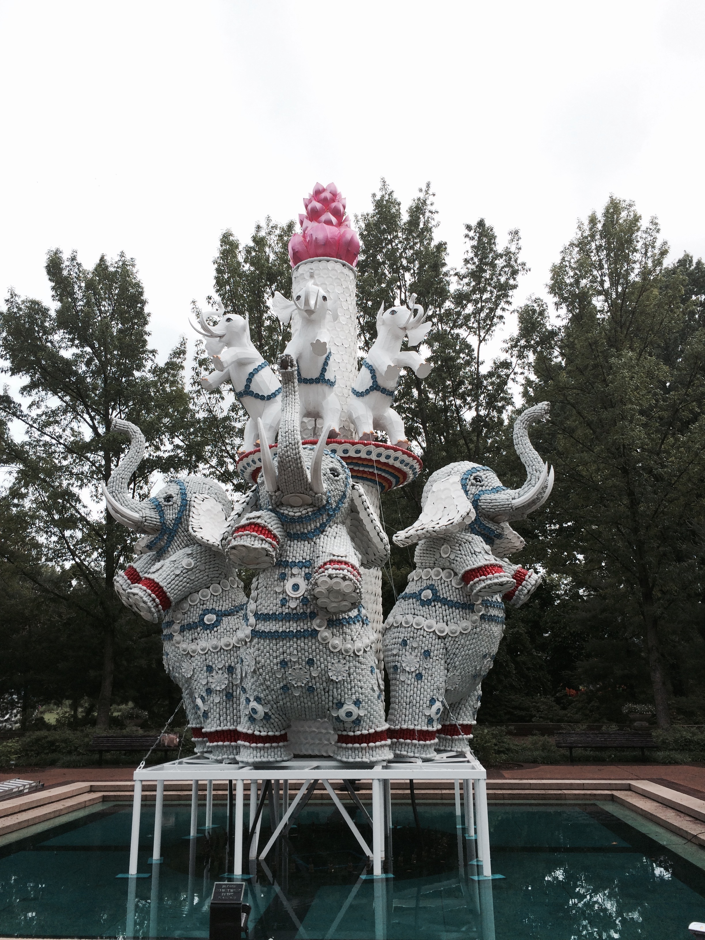 Elephants out of dishes
