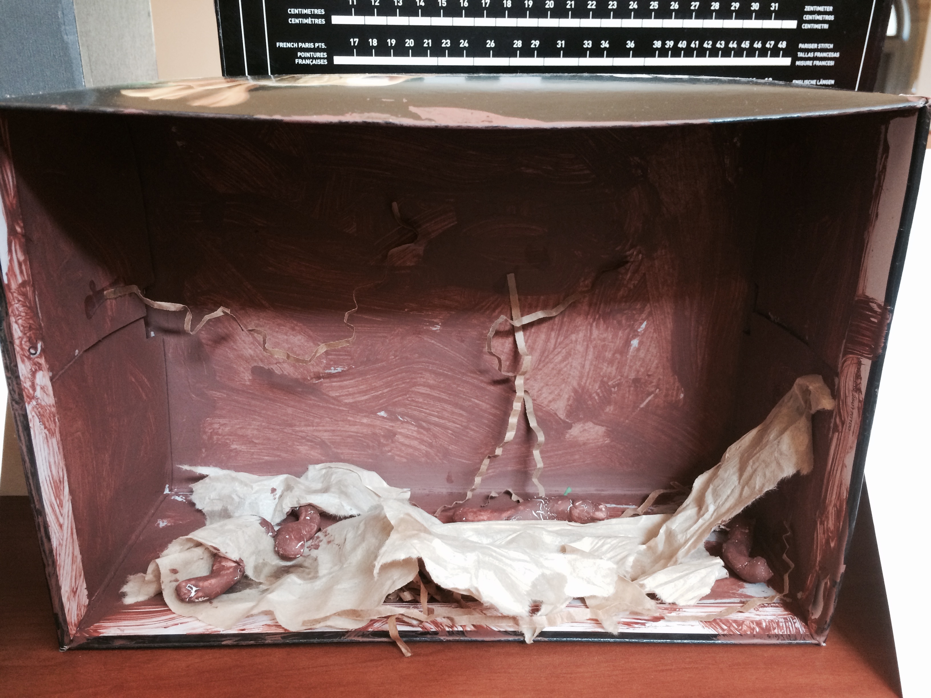 Andy's first diorama. Worms. Very realistic