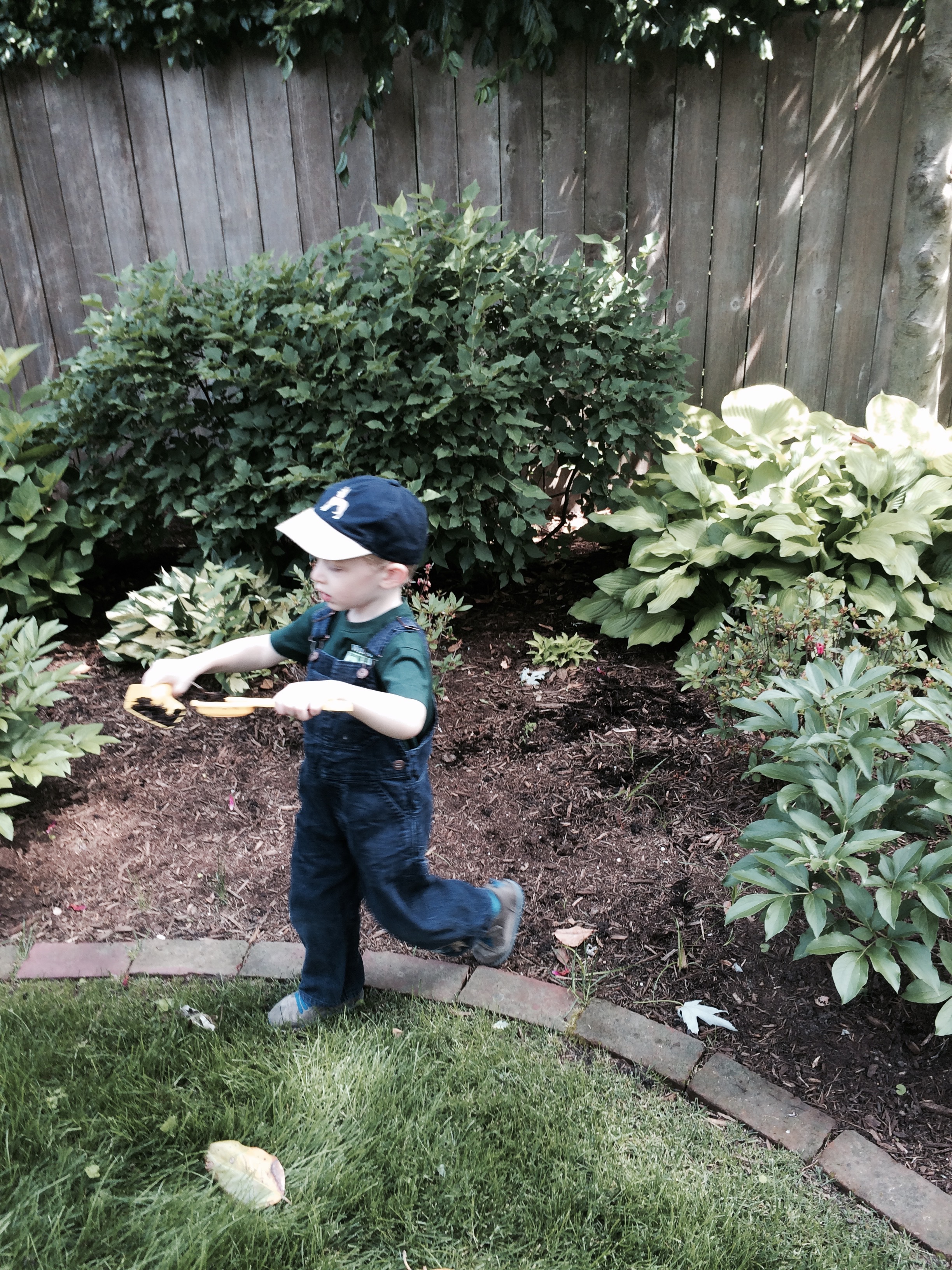 Backyard fun
