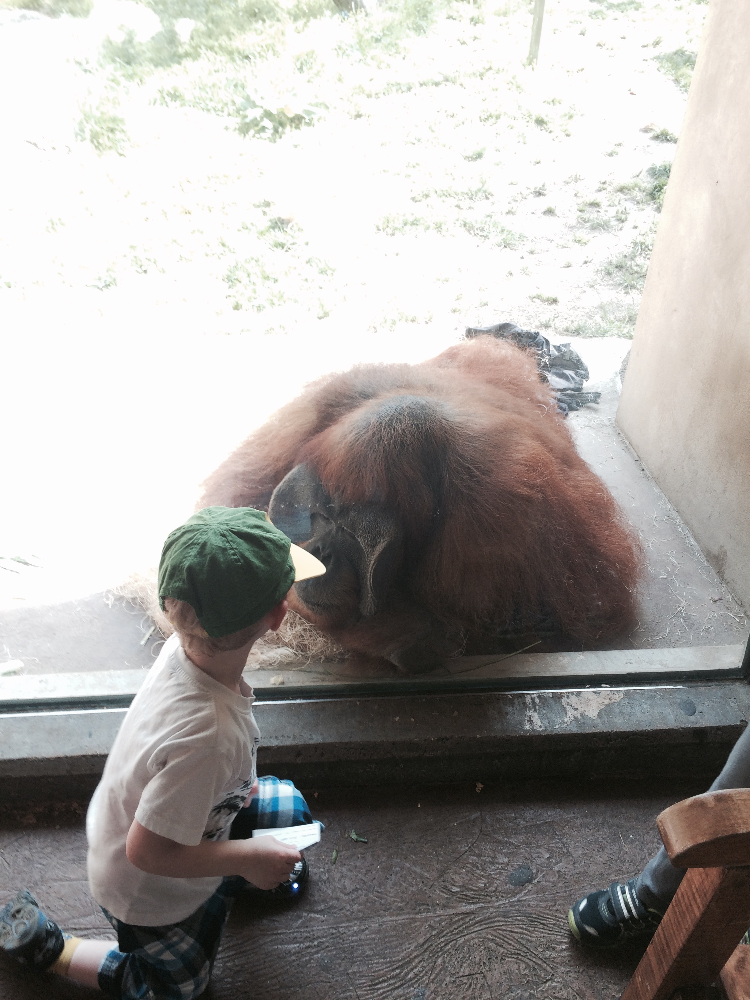 Annual Mother's Day trip to zoo