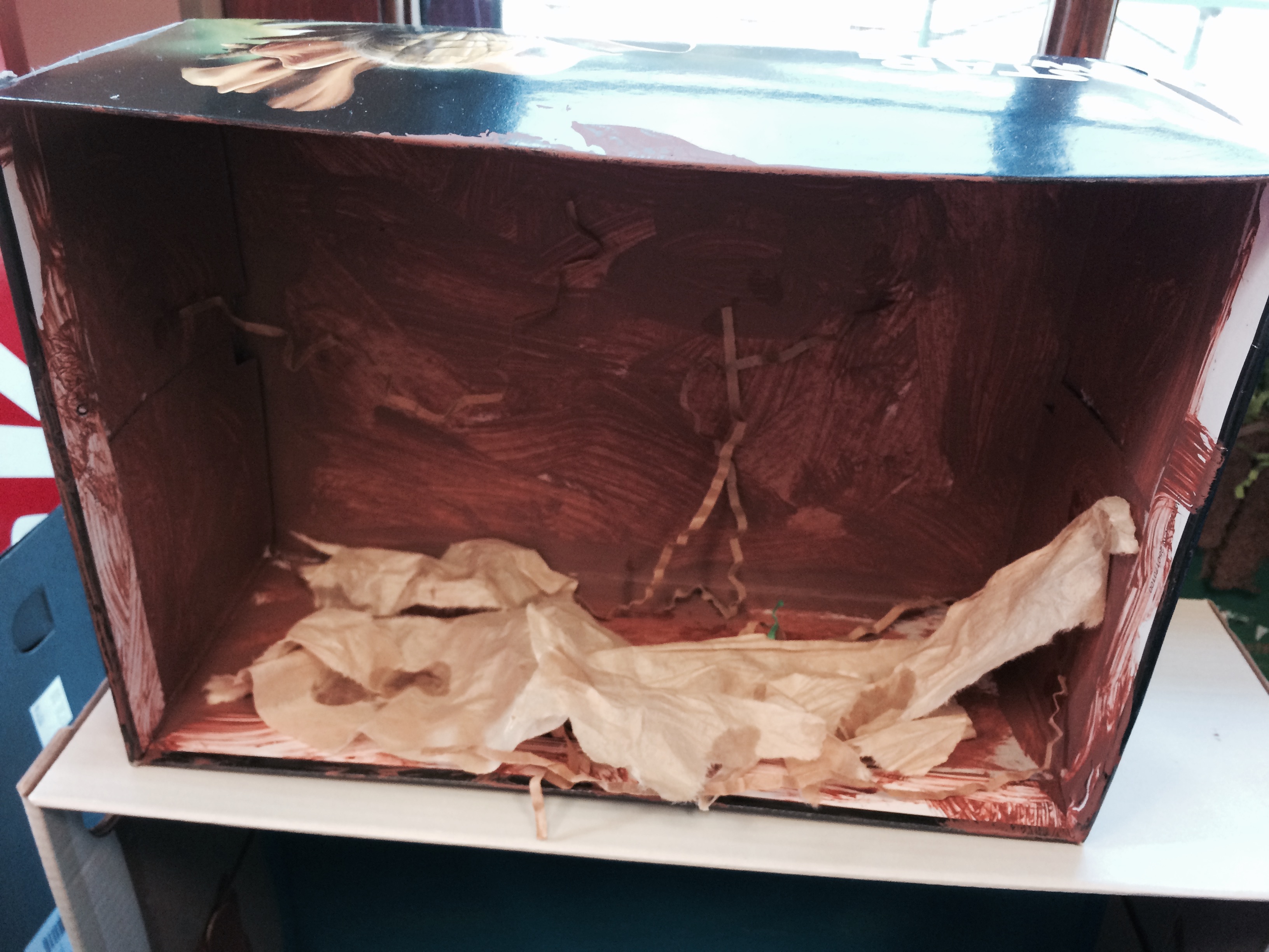 Andy's first diarama. Worm habitat. Worms to come