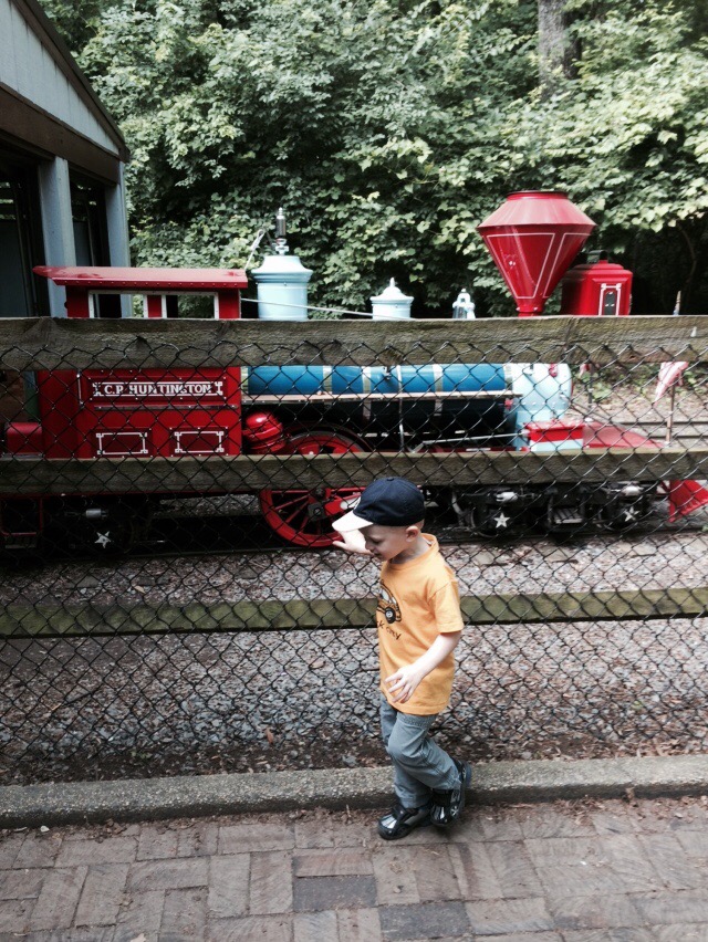 Reliving childhood memories at cabin john park