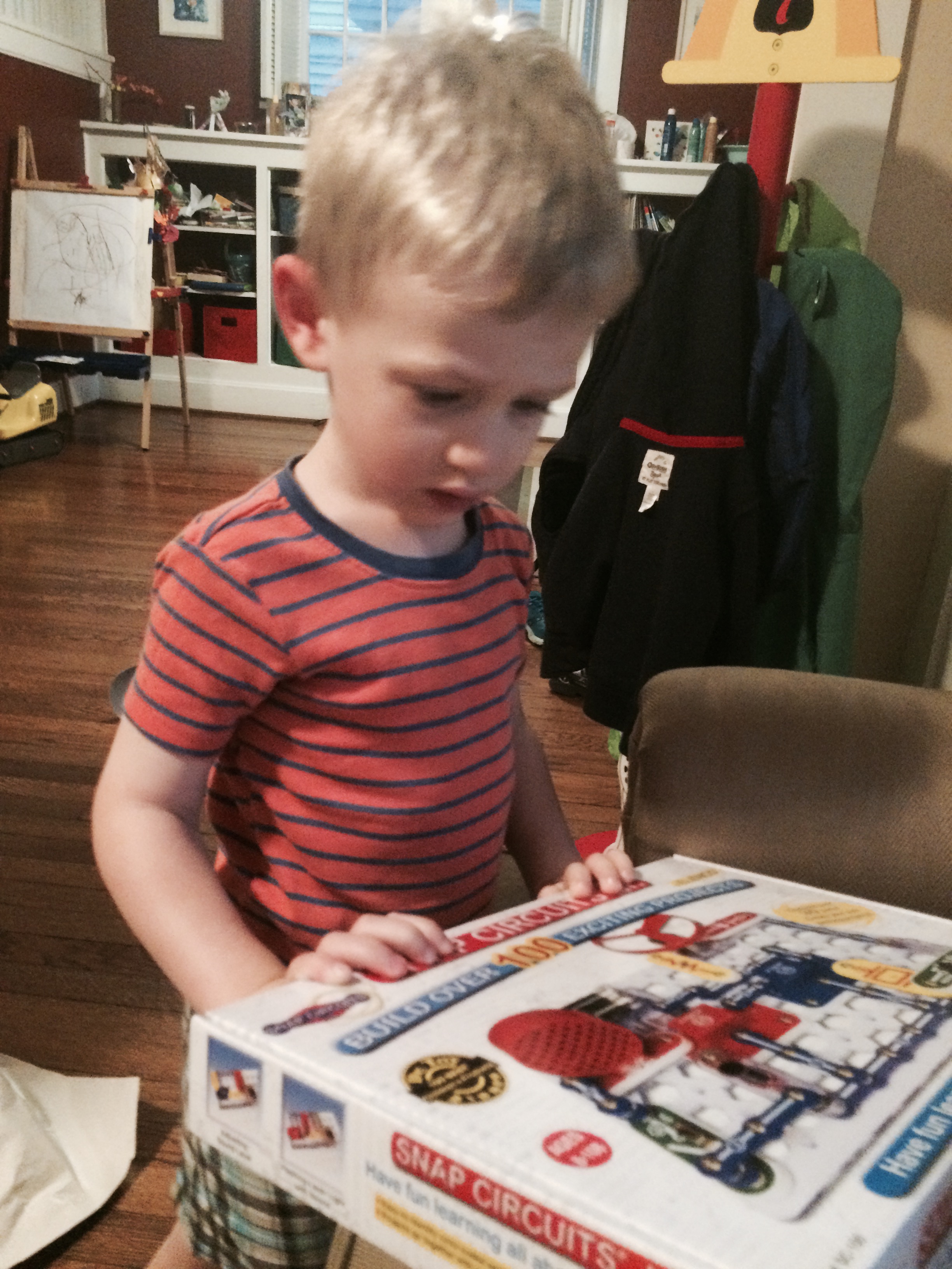 Snap circuits