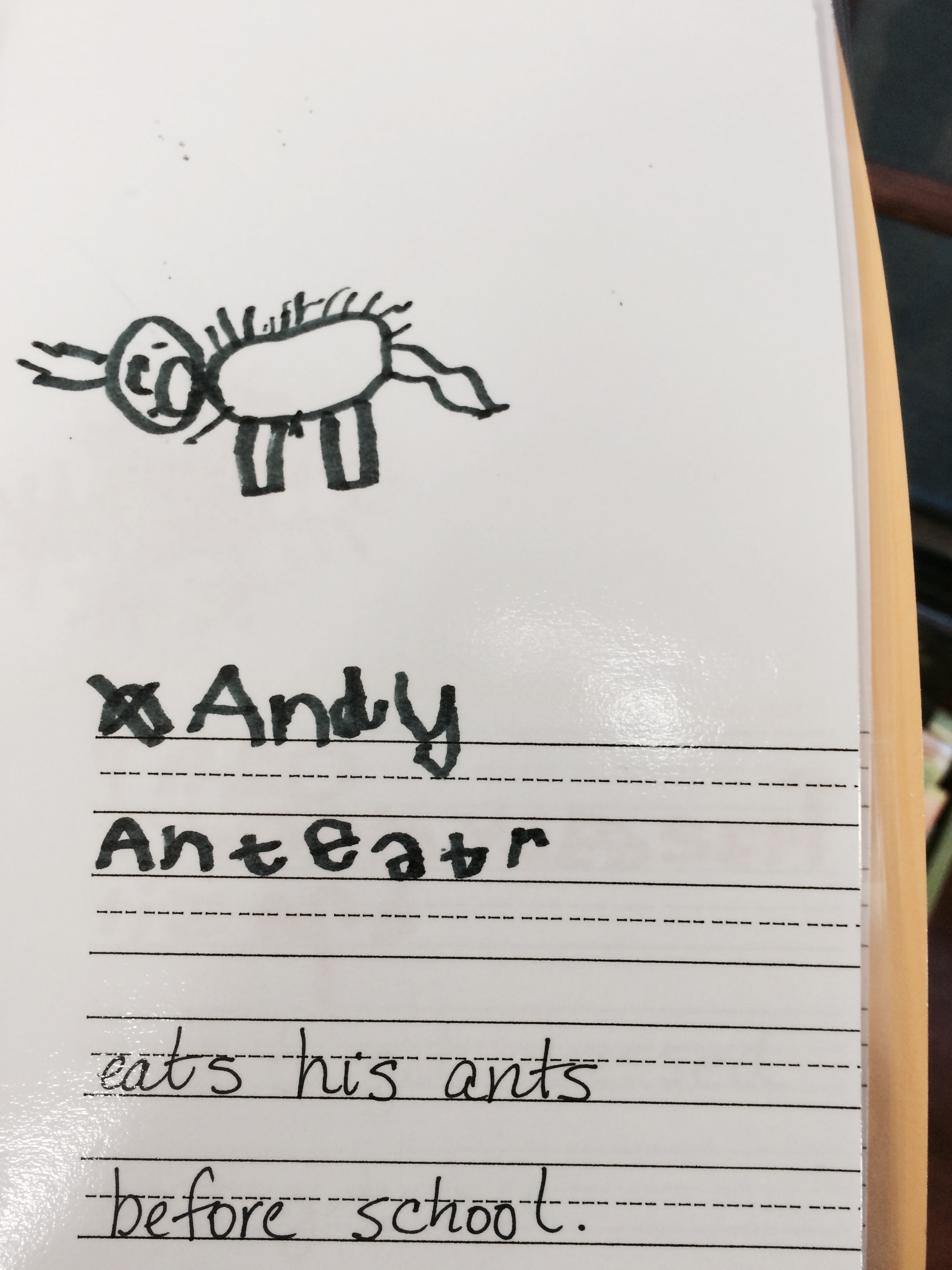 Andys class work