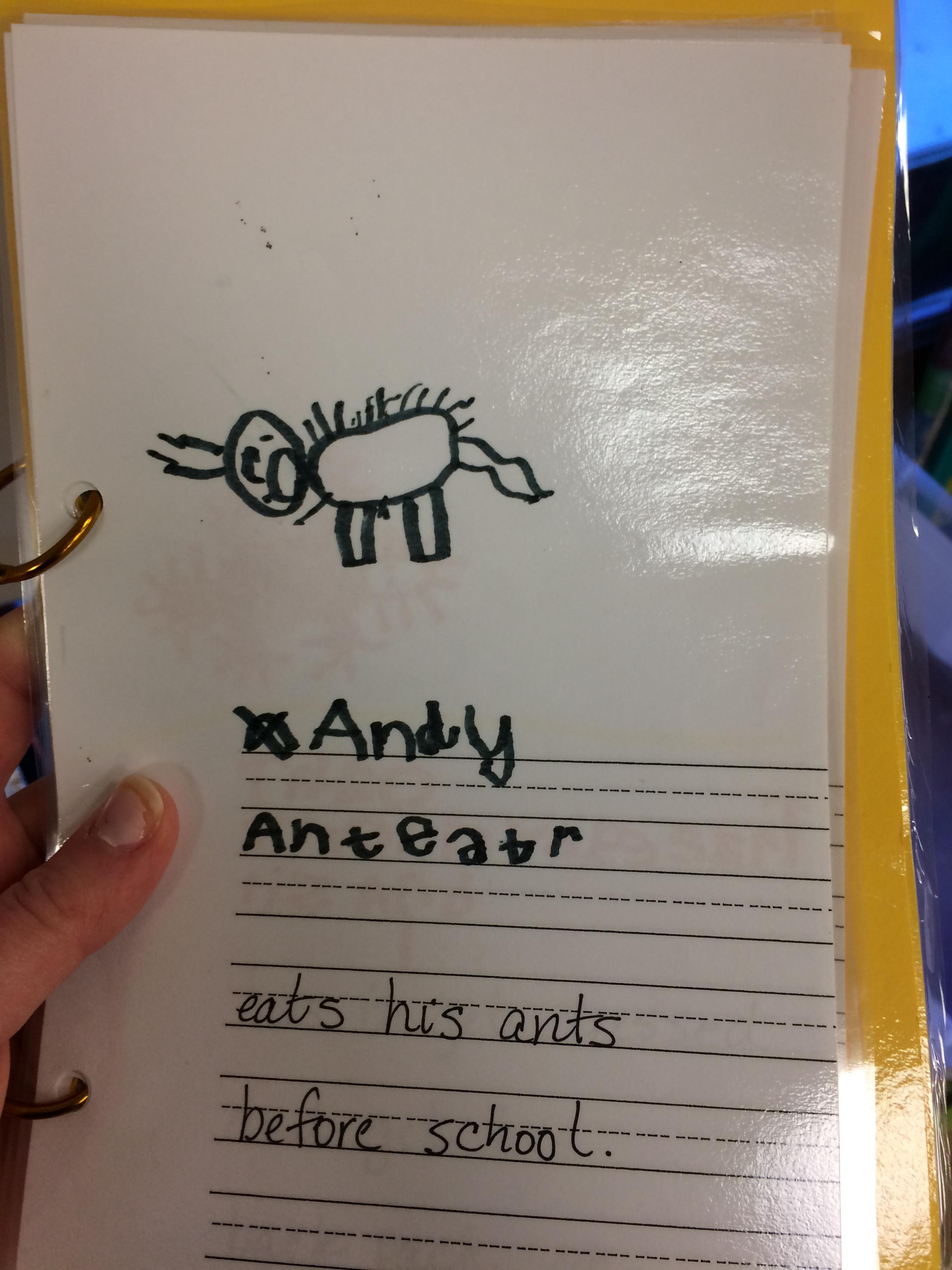 Andys pages in the class books