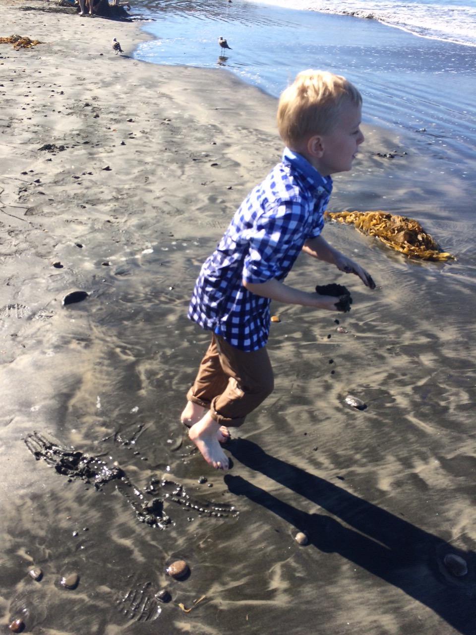 La jolla shores
