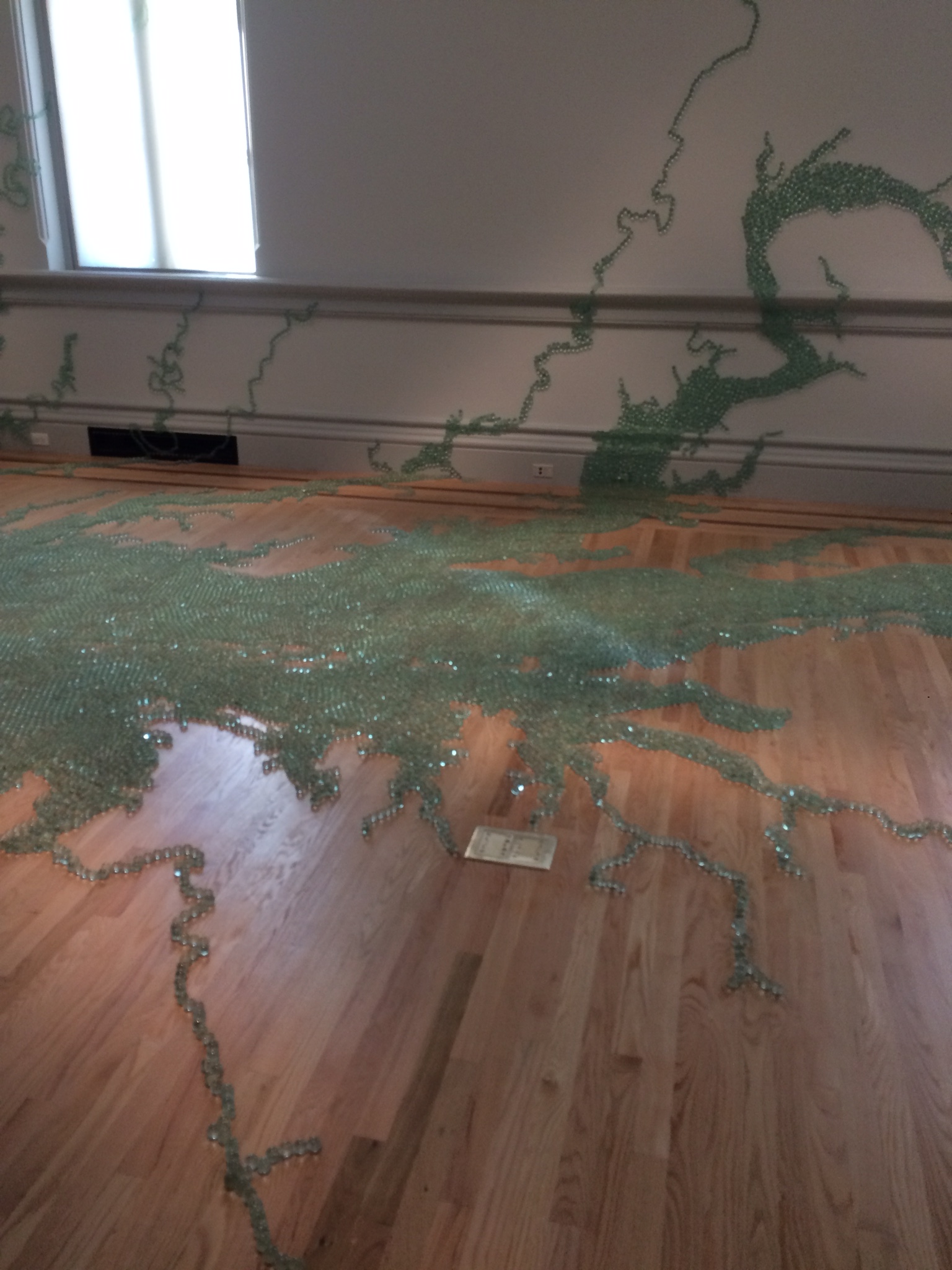 Maya Lin and the boys recognized the chihully