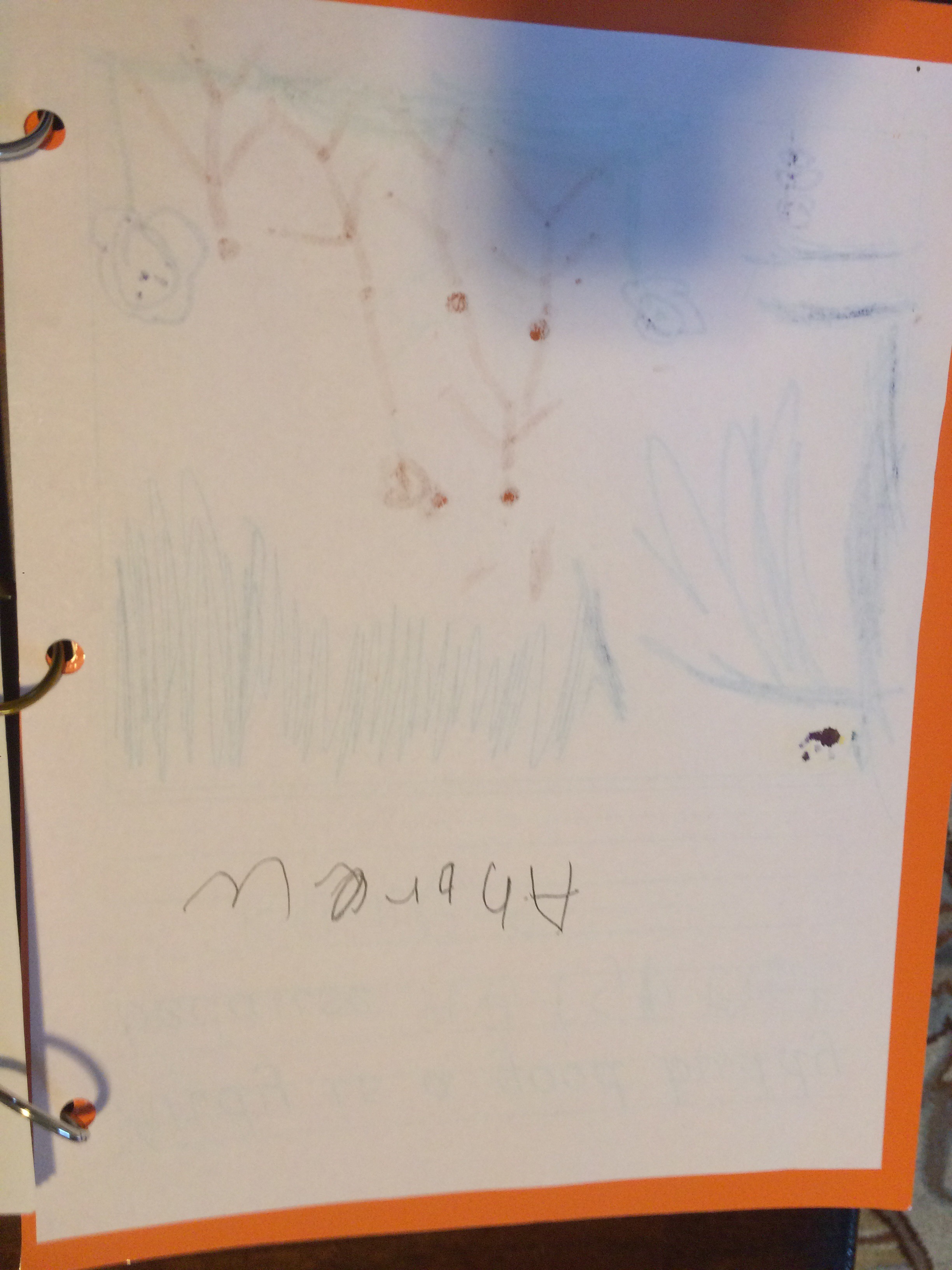 Andys good buddy book