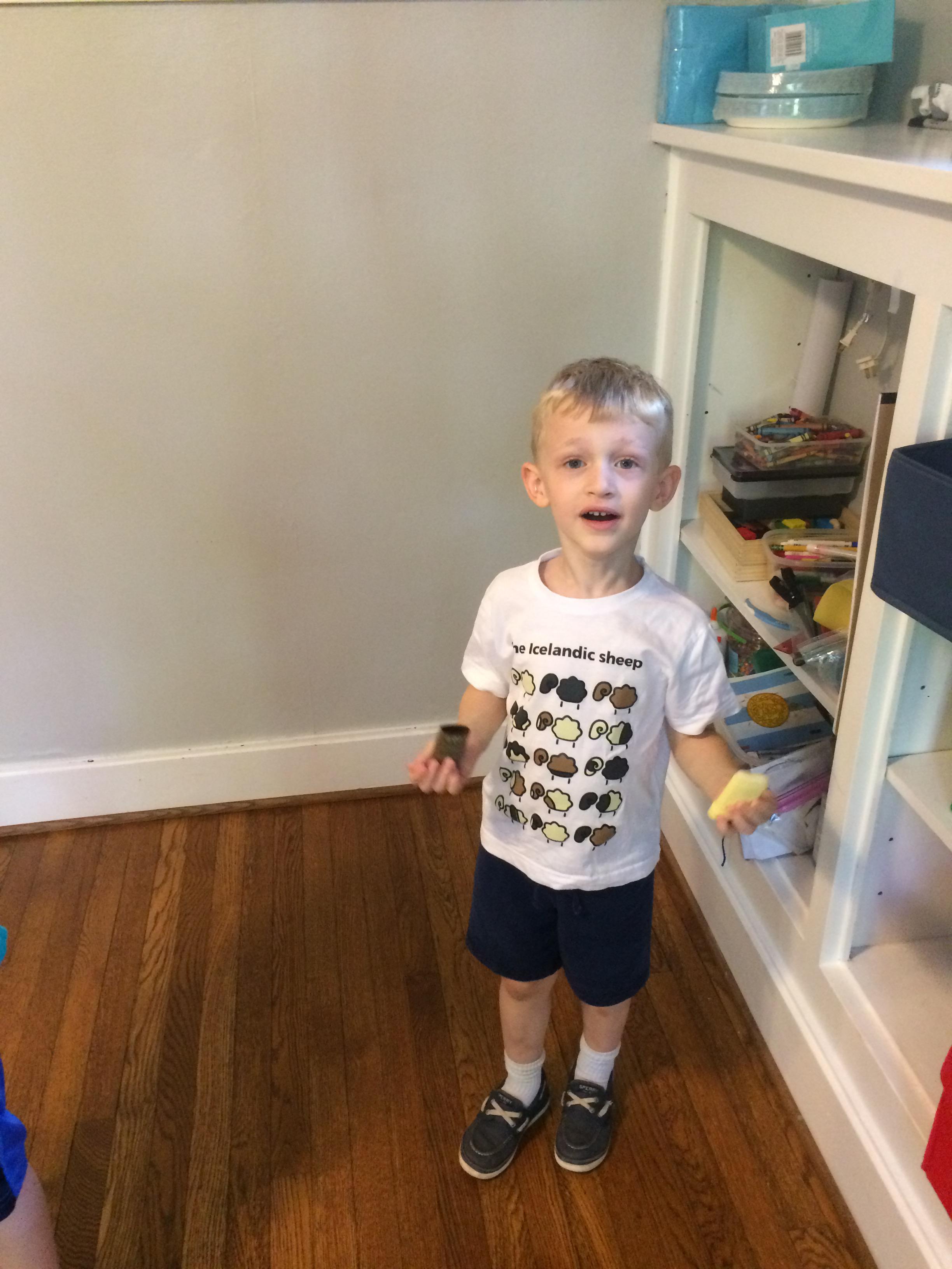 Islandic shirt