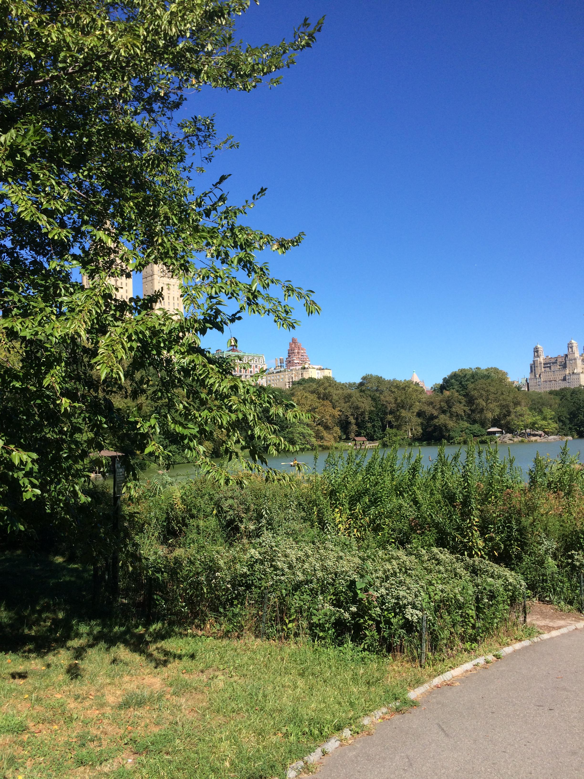 Waking tour of Central Park. Saw lennons apartment complex, strawberry field, Shakespeare garden and more
