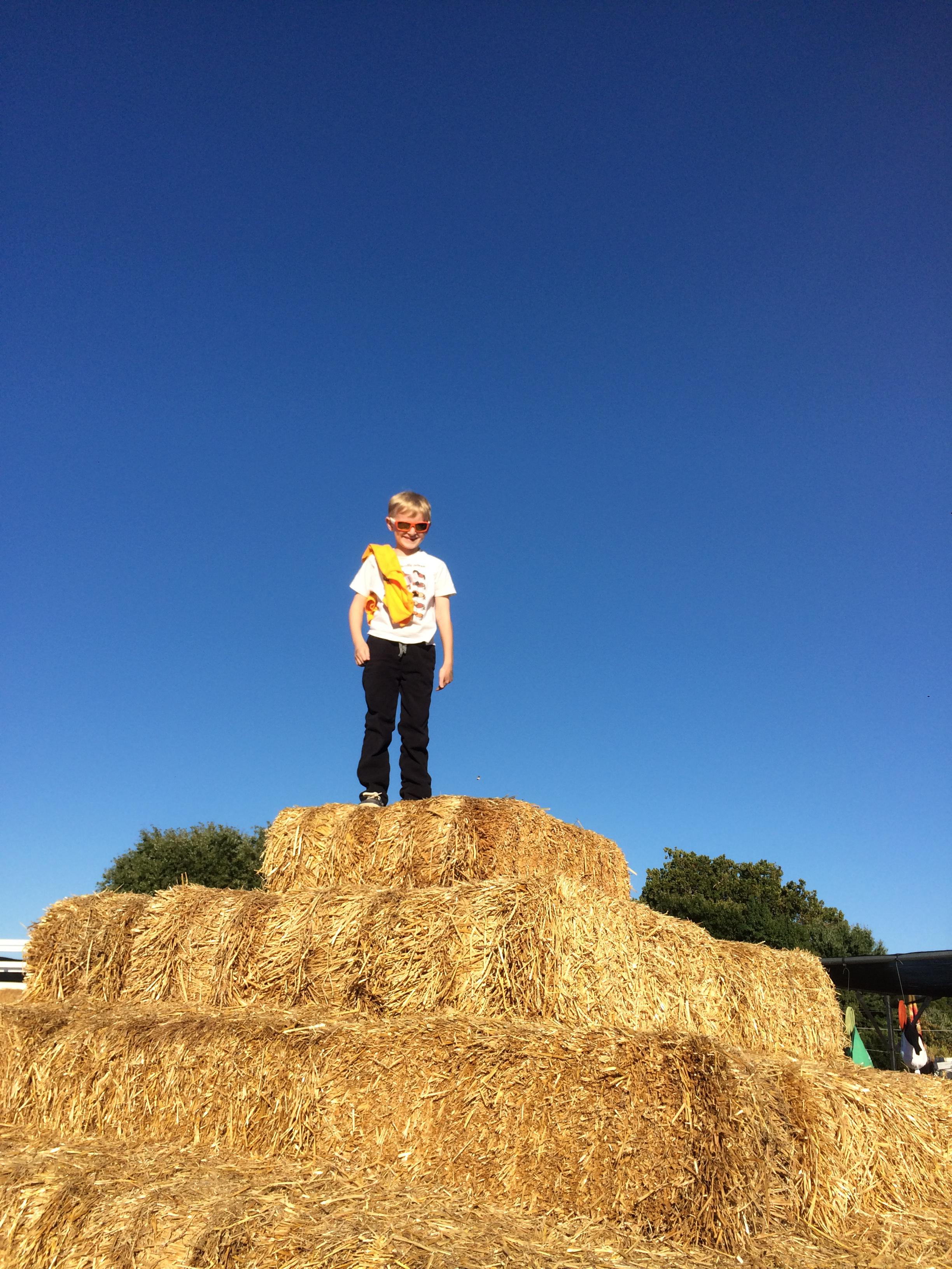 The top