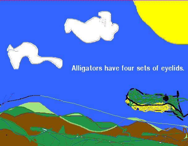 alligator by andy