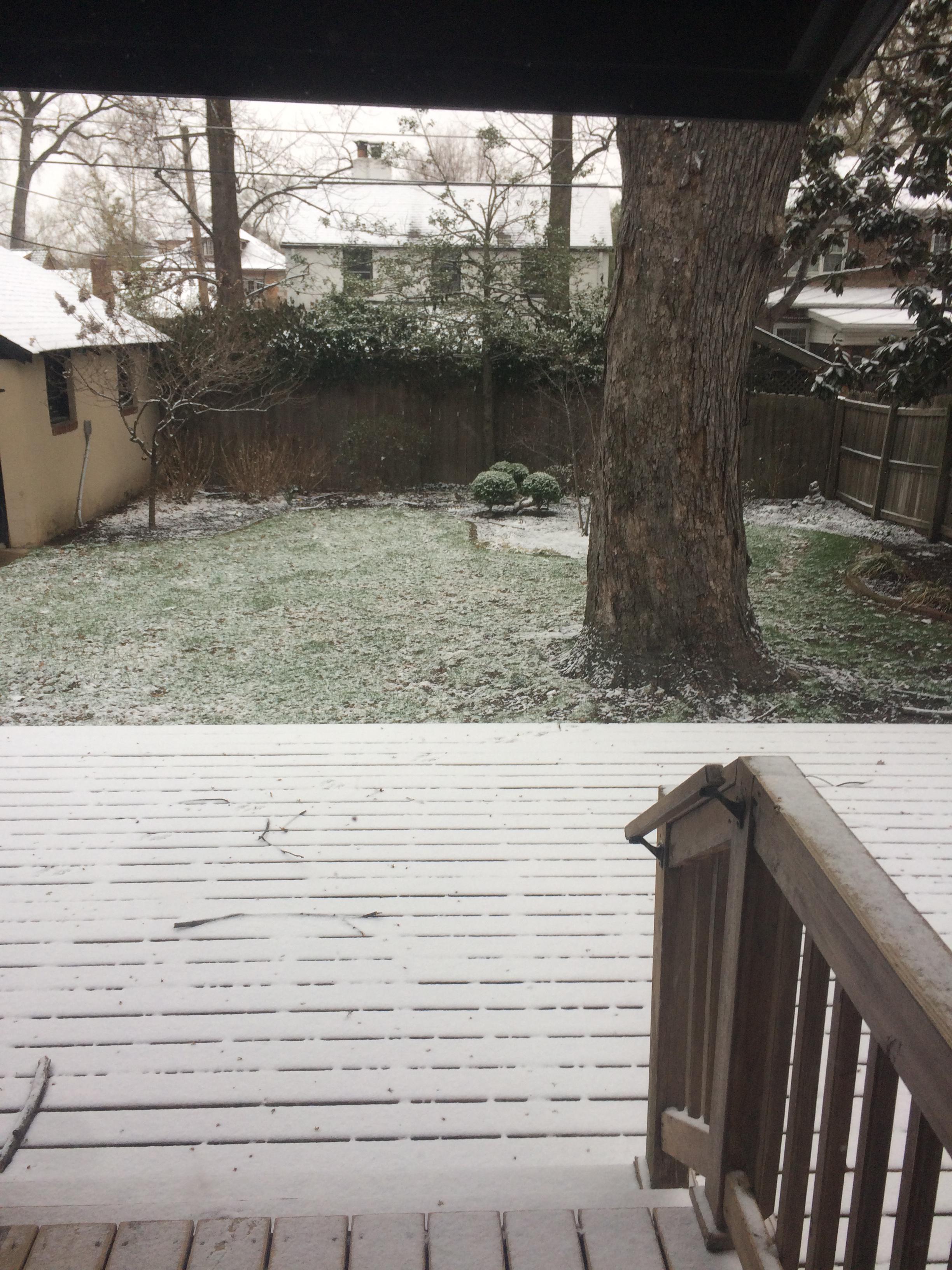 Bday snow