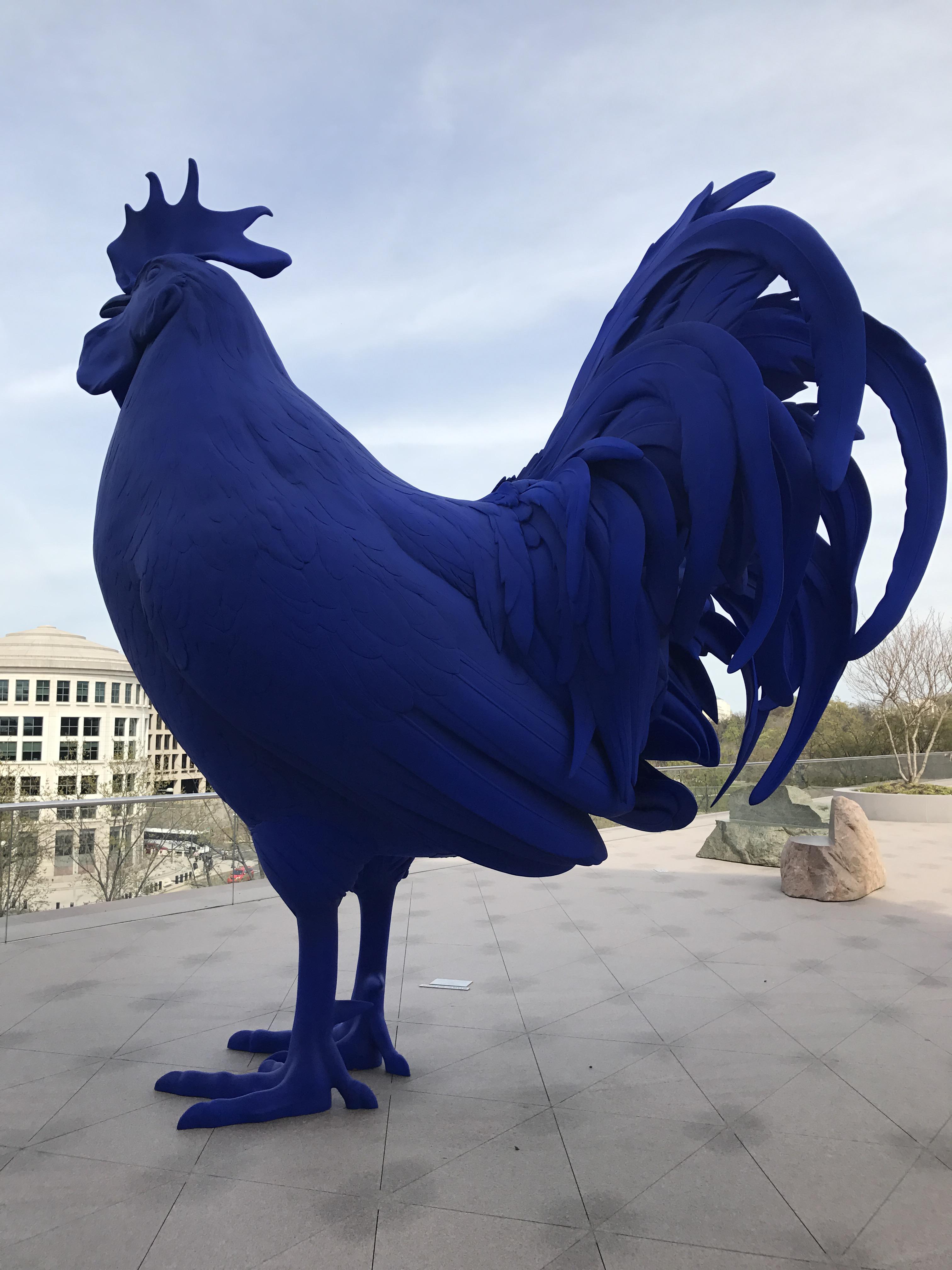 Rooster at national gallery