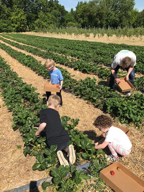 Picking