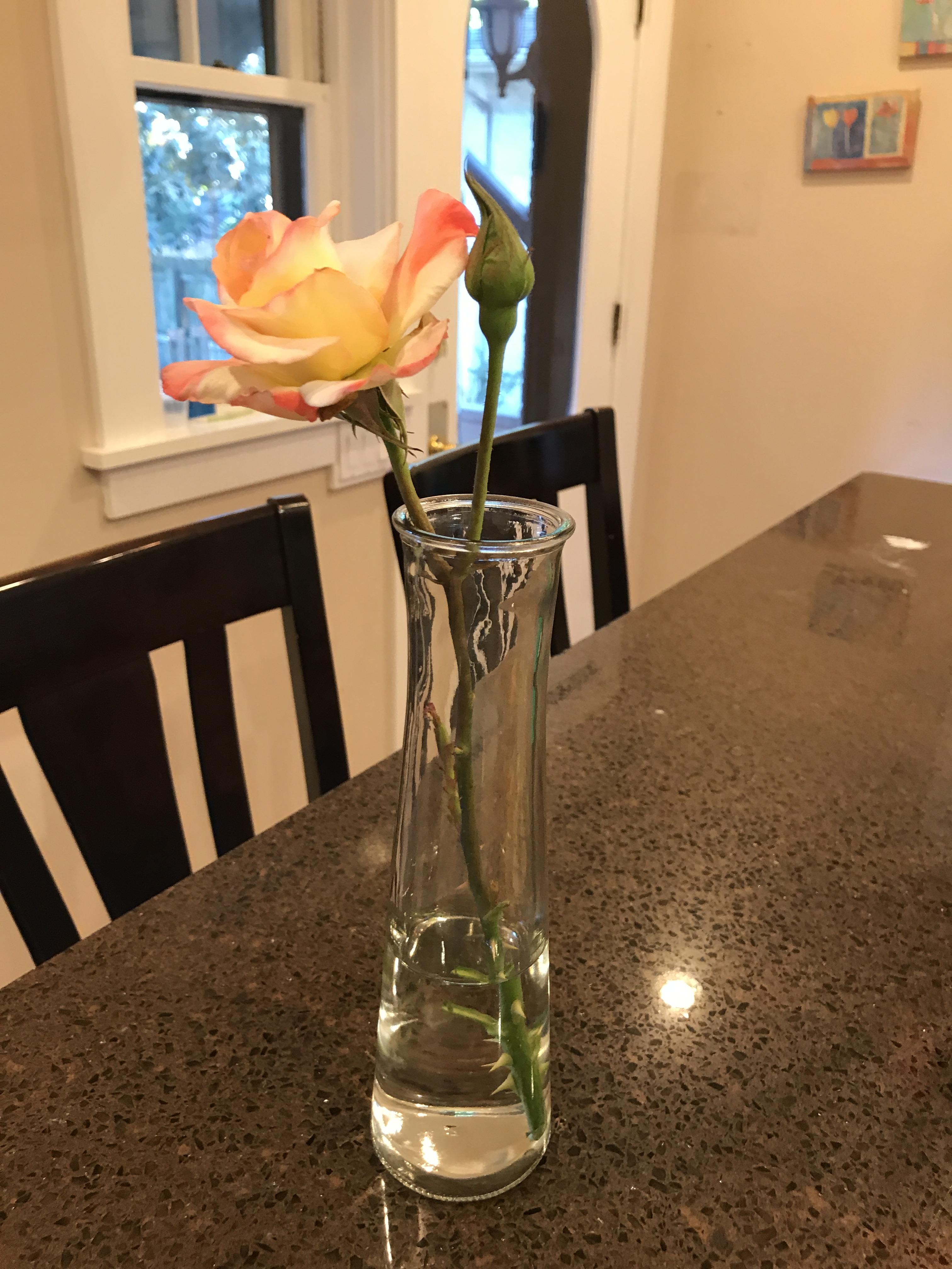 Mother's Day rose from Cee