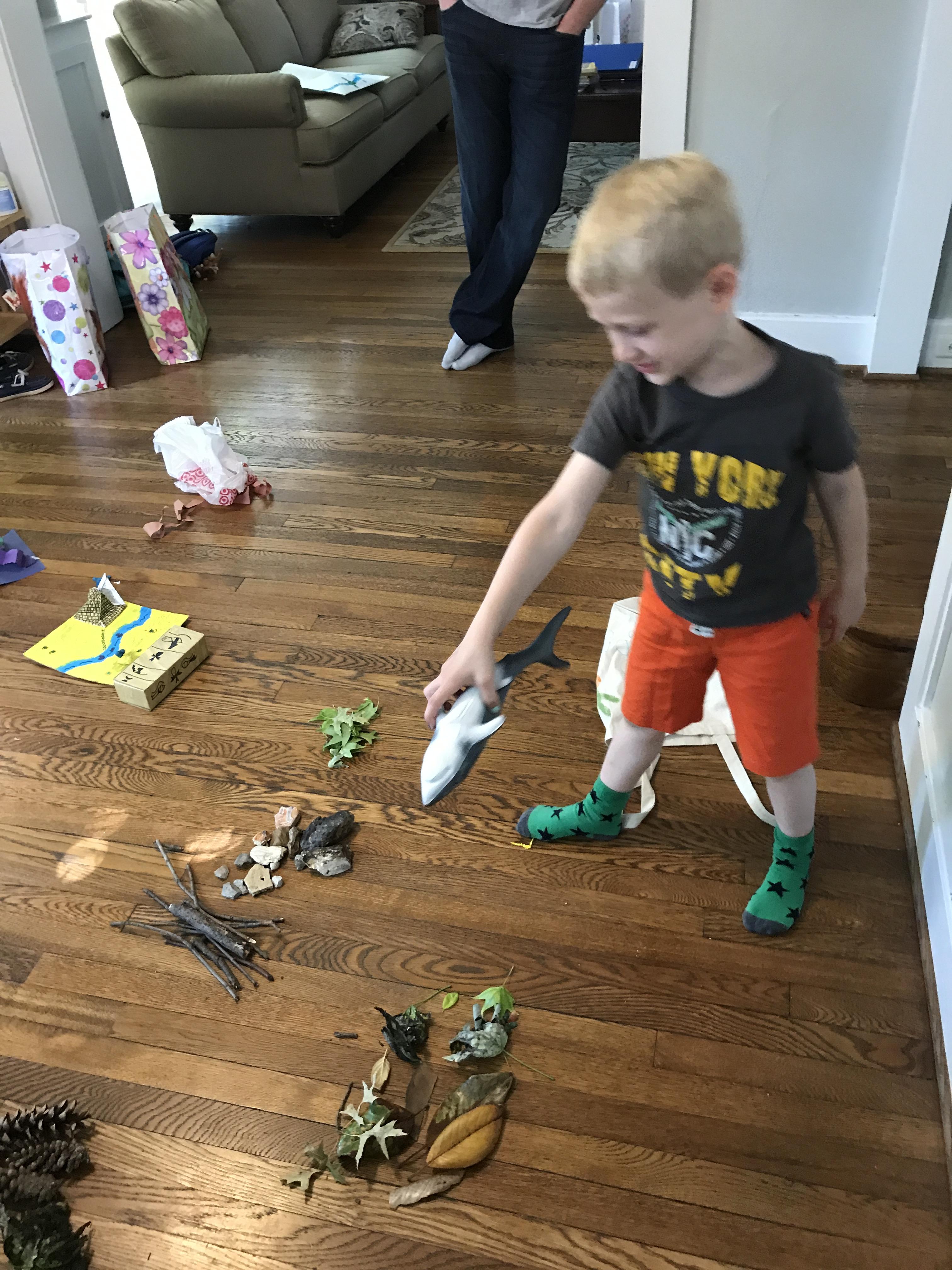 Charlie's nature collection