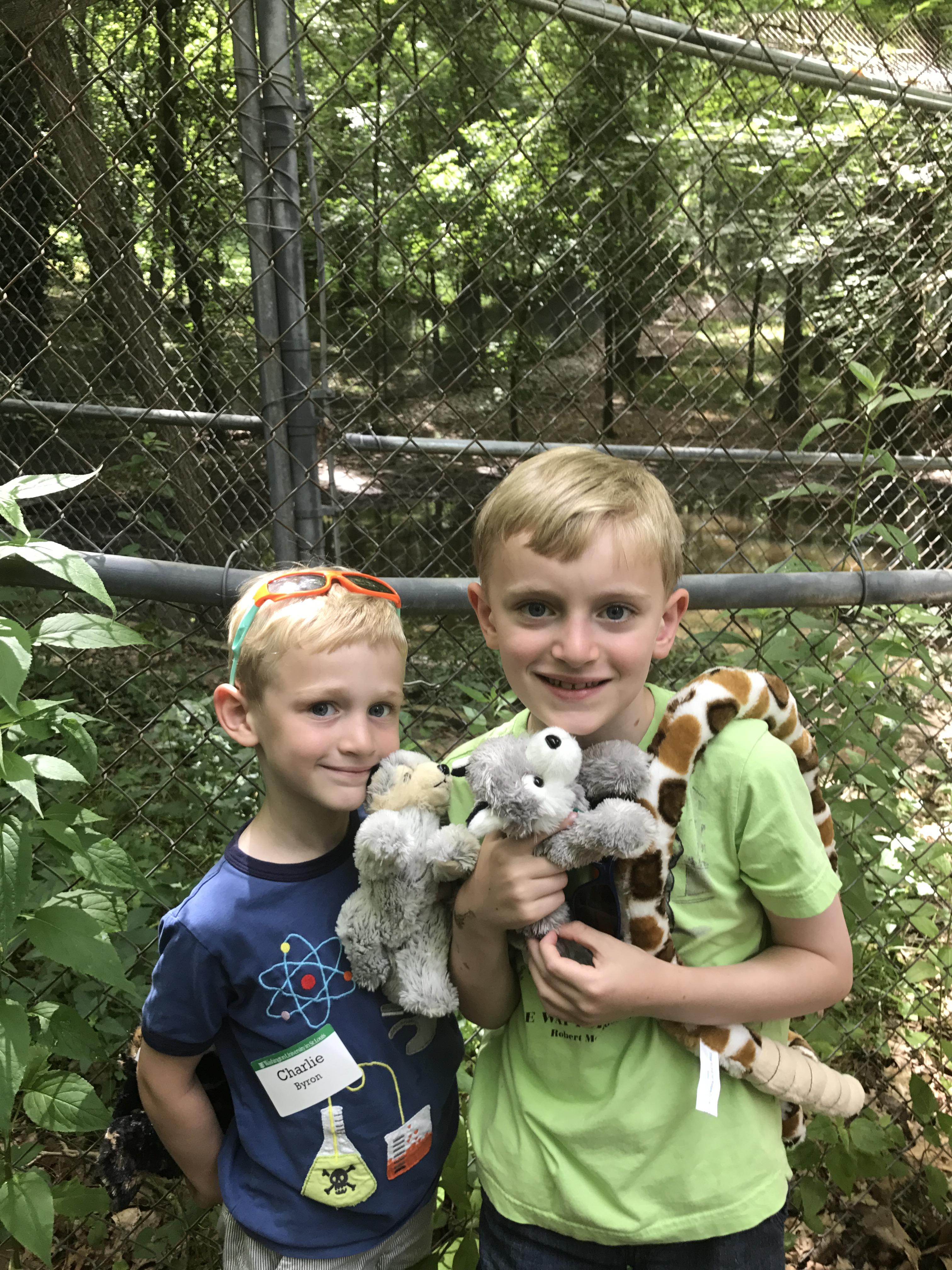 Wilson wolves at endangered wolf sanctuary