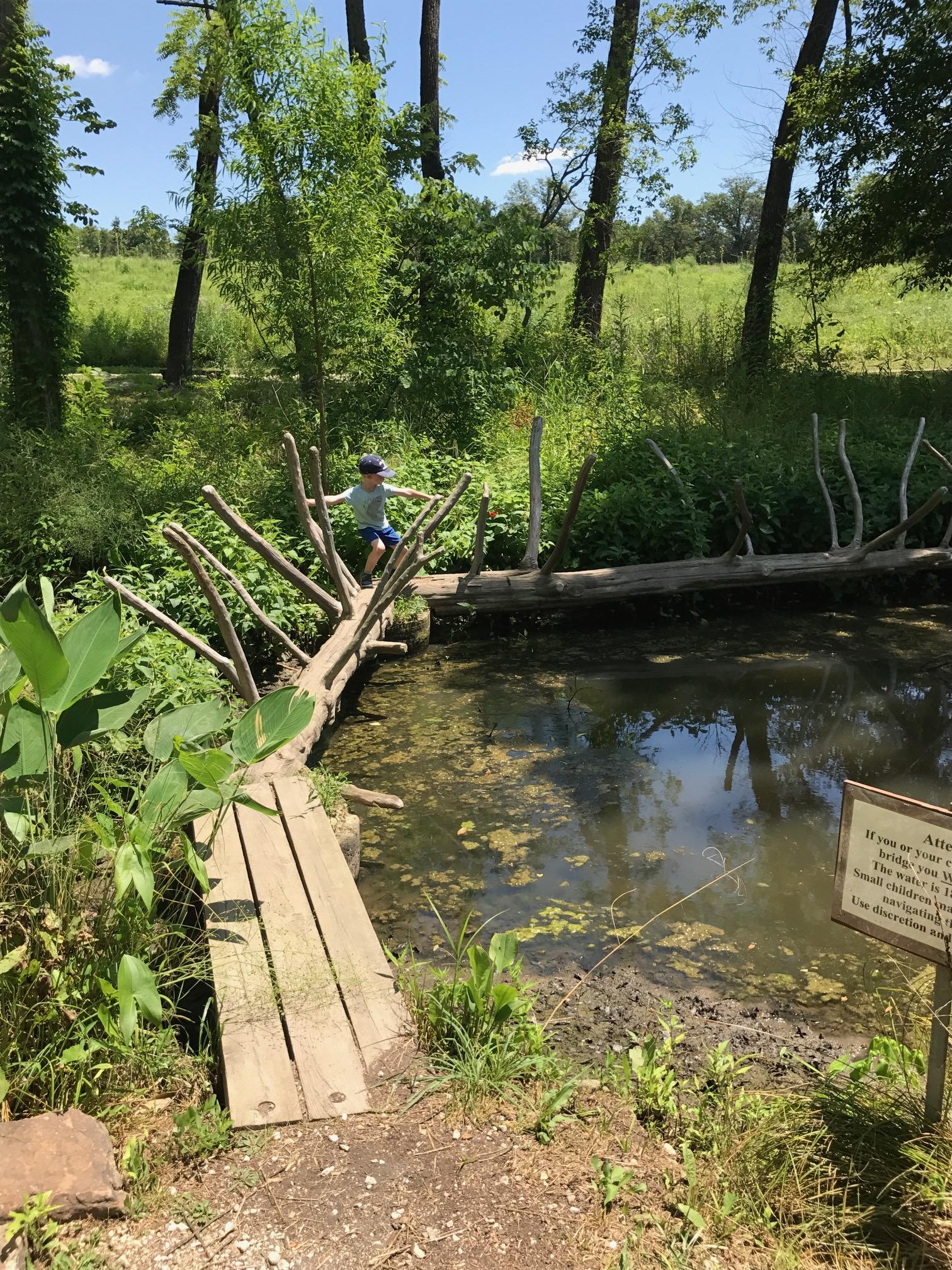 Crossing the log