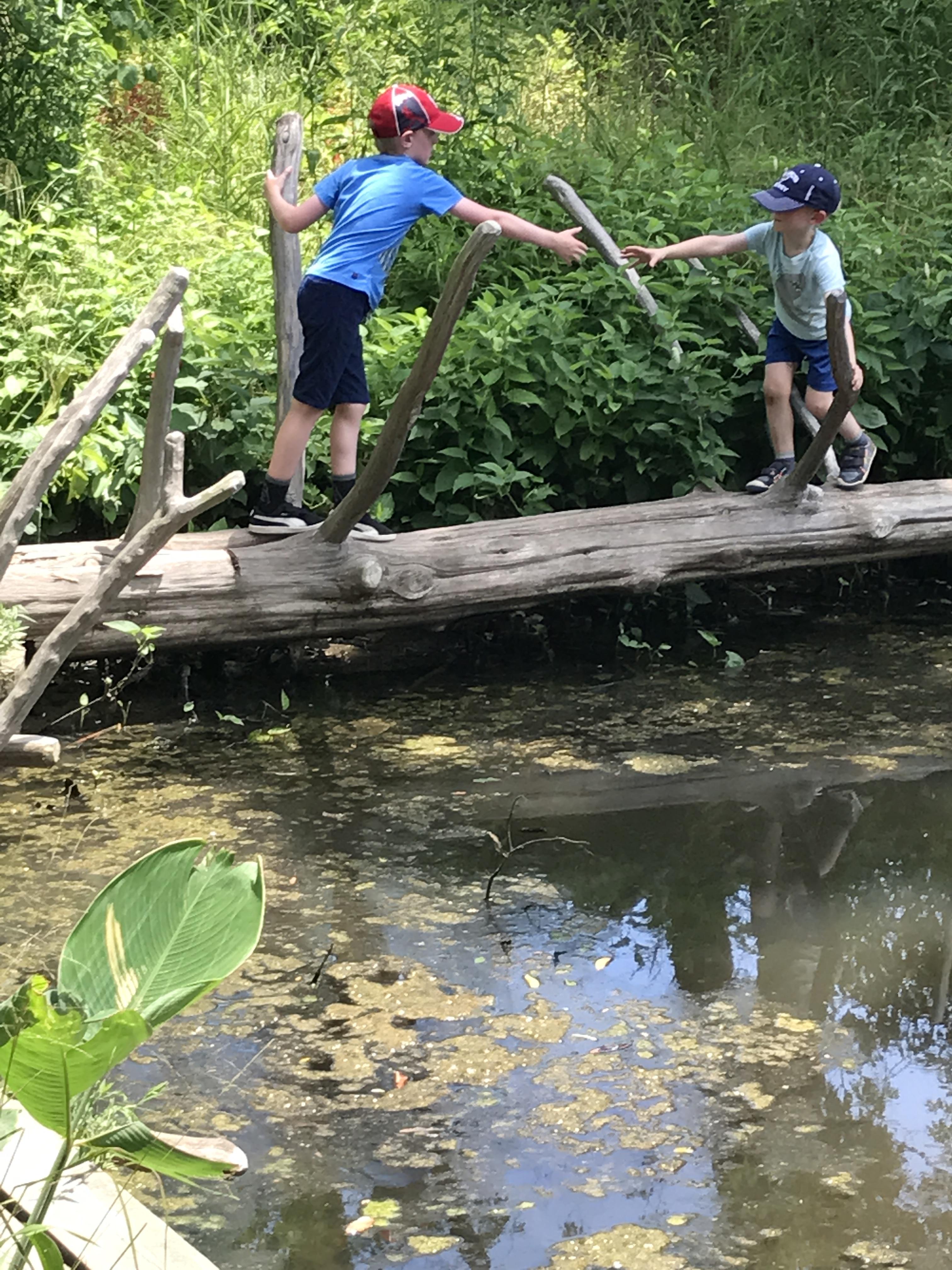 Andy lends a hand
