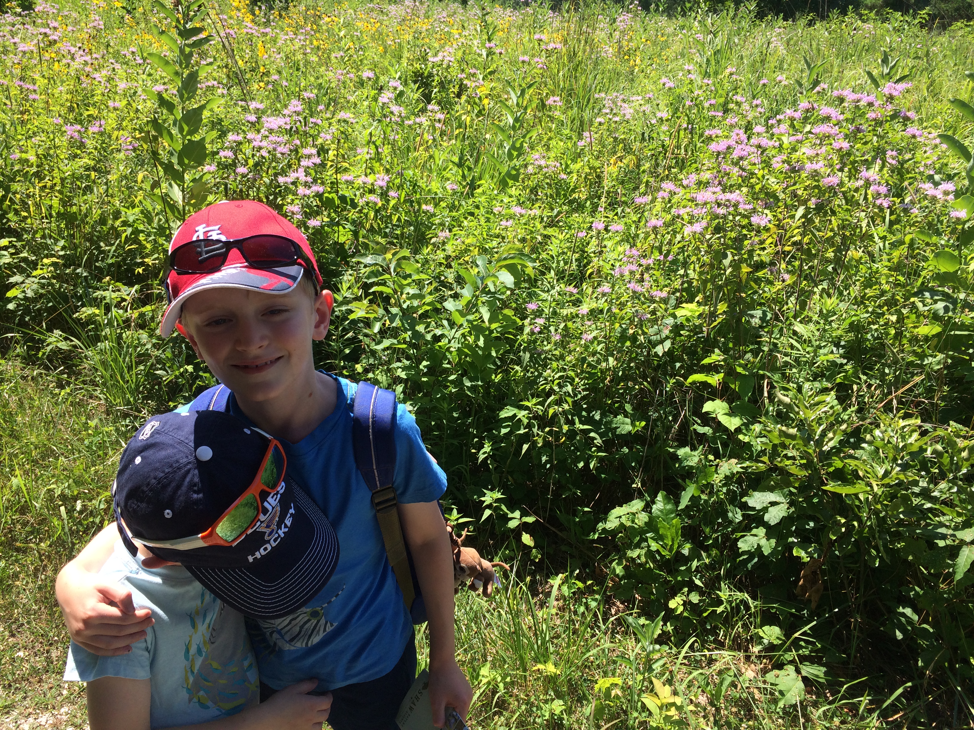 Wildflowers
