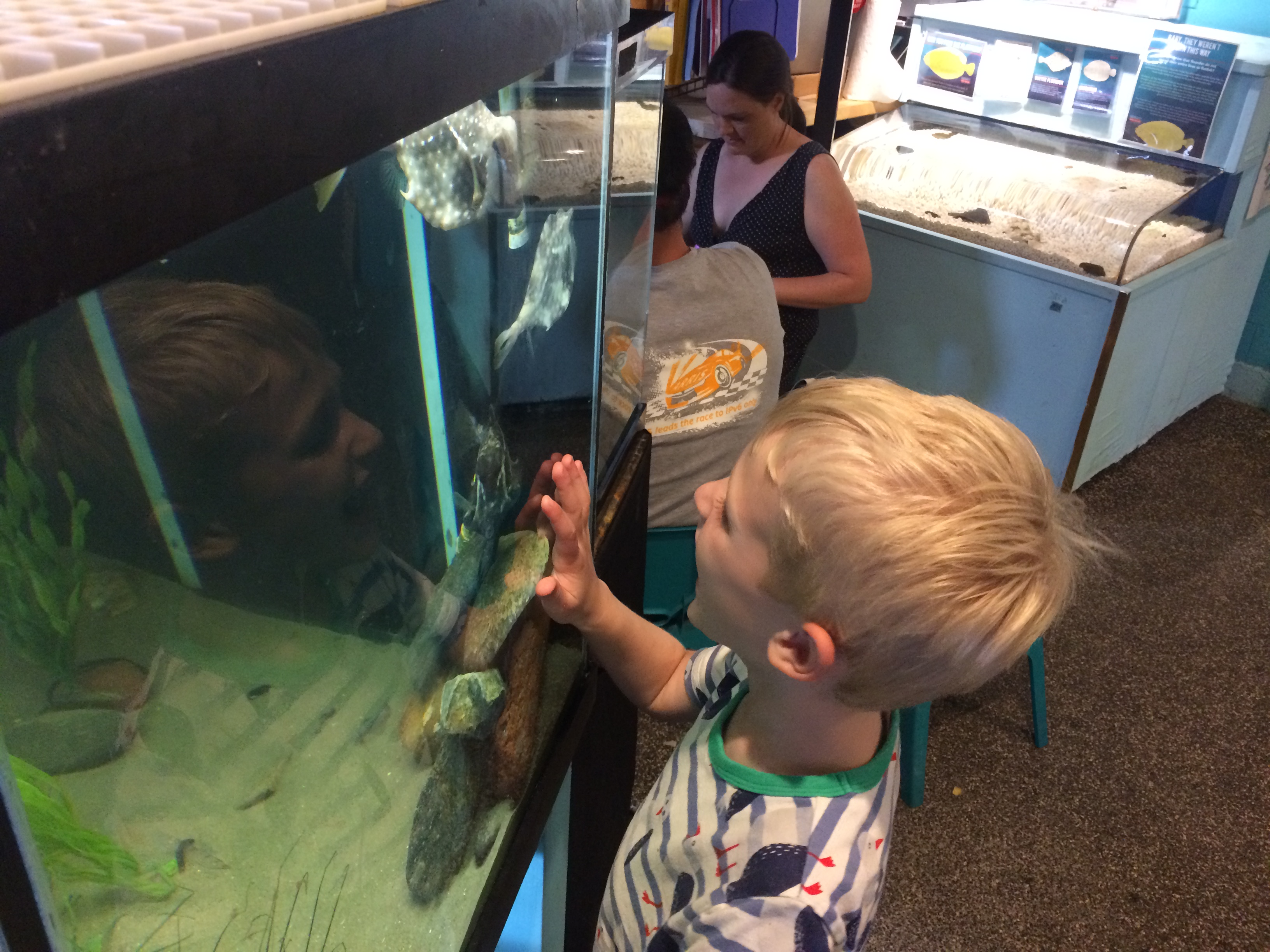Aquarium