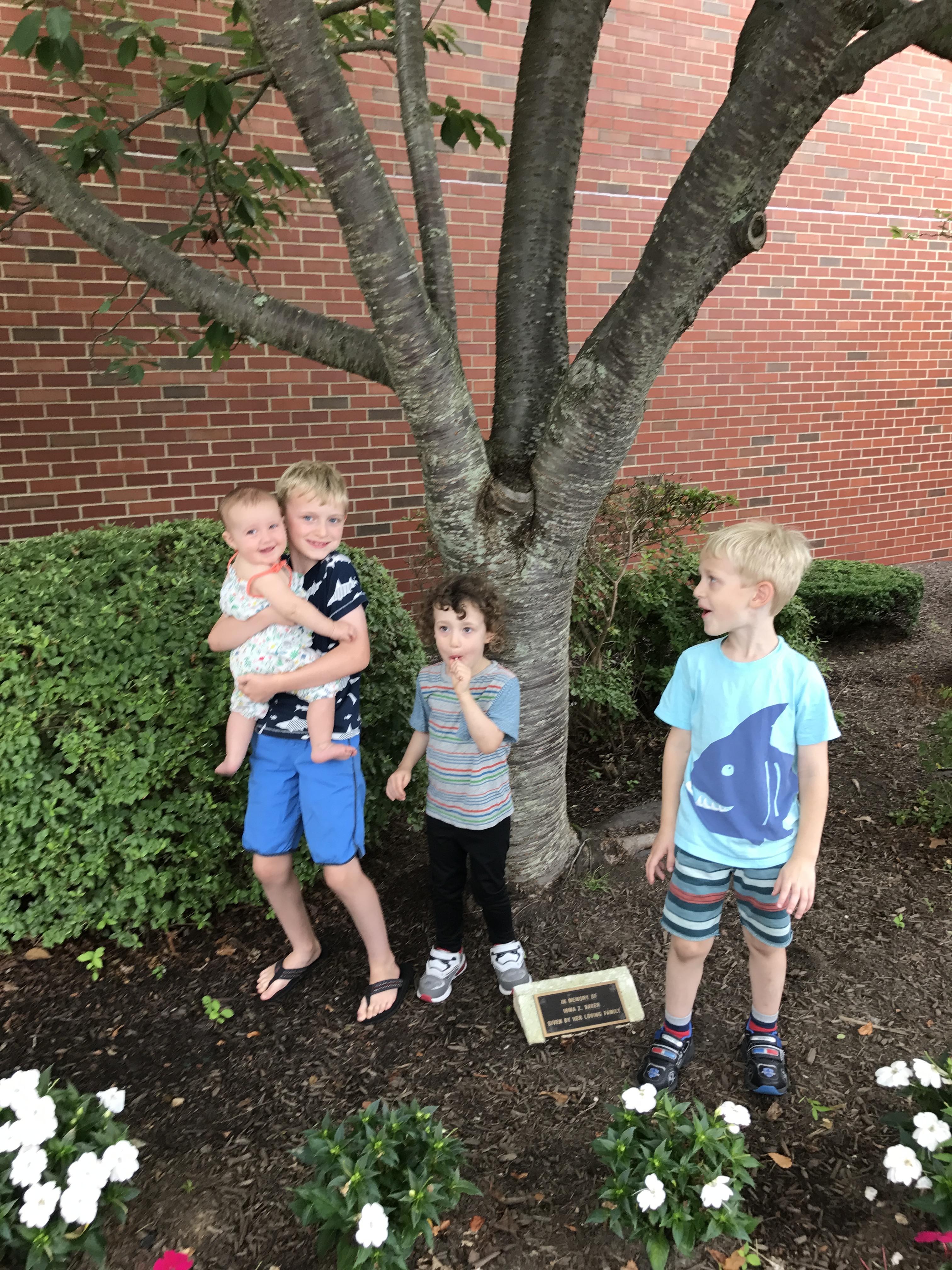 Cousins