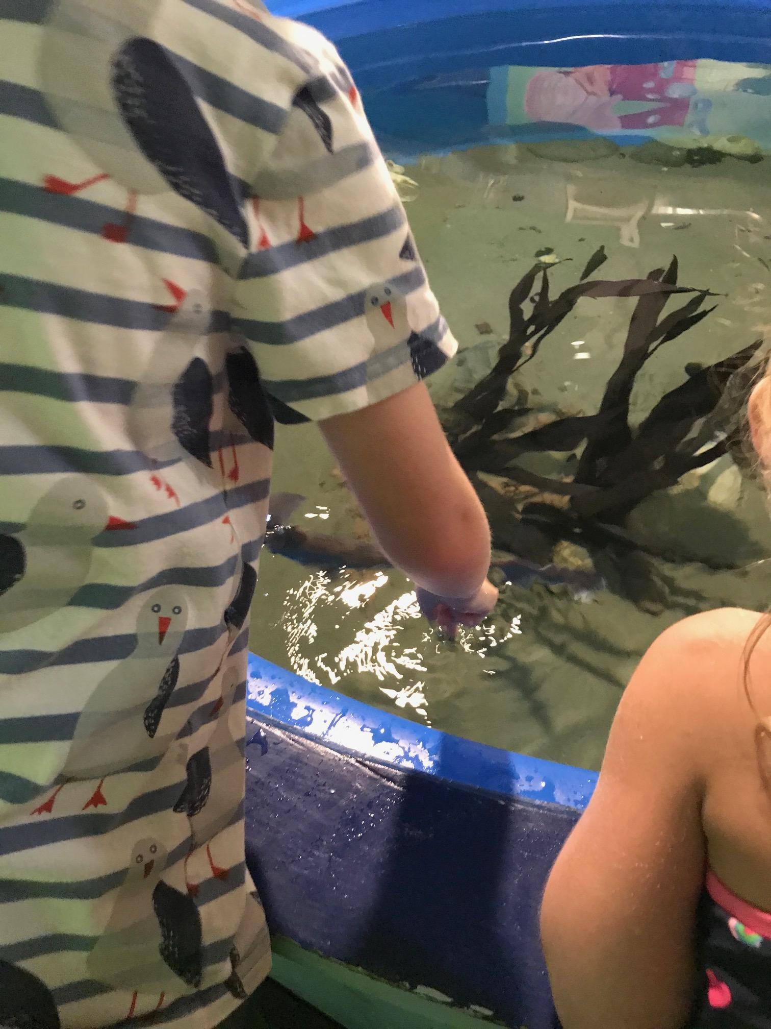 Newport aquarium