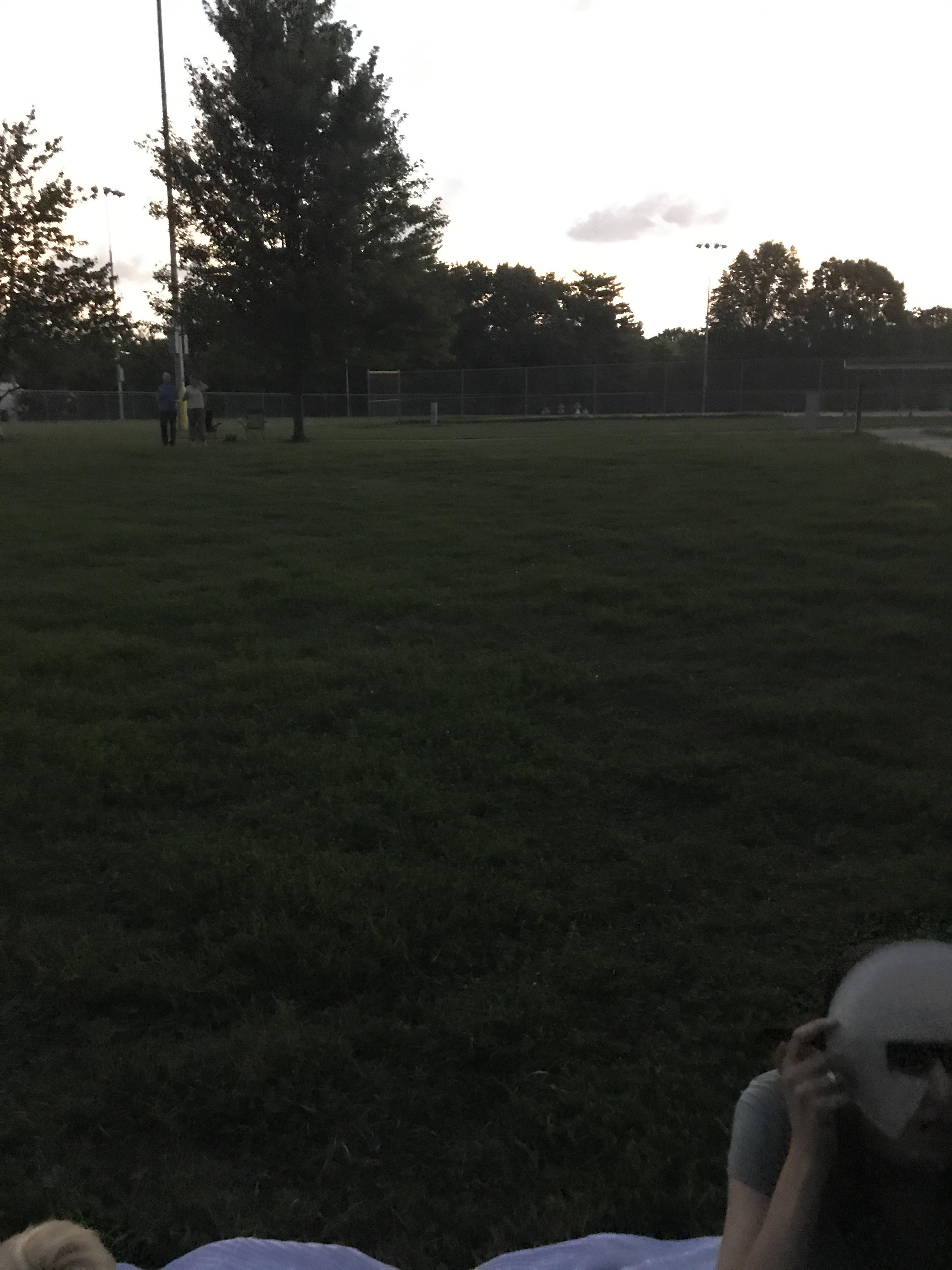 Crickets were chirping