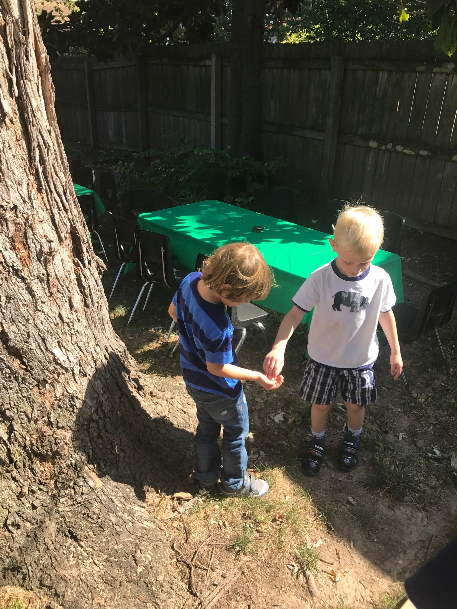 Charlie finds cicadas. The rest of the class joins in.