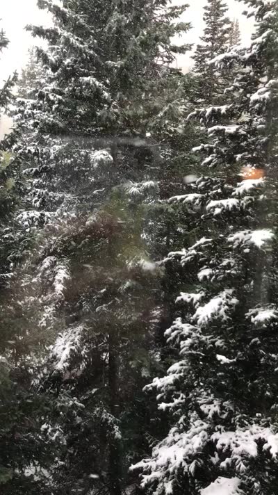 Snow falling