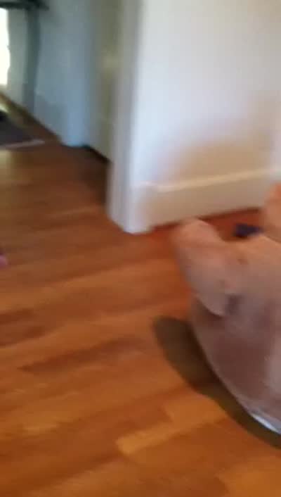 Andy getting Charlie to crack up laughing