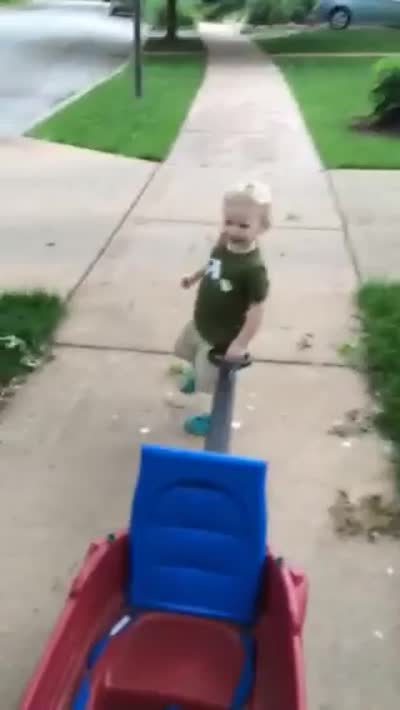 Charlie pulls wagon
