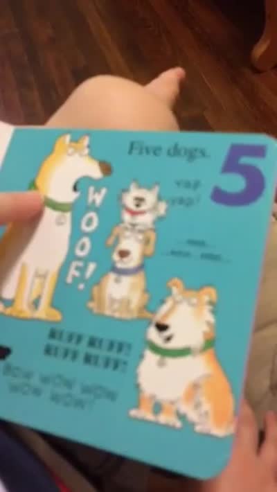 Charlie reads doggy book